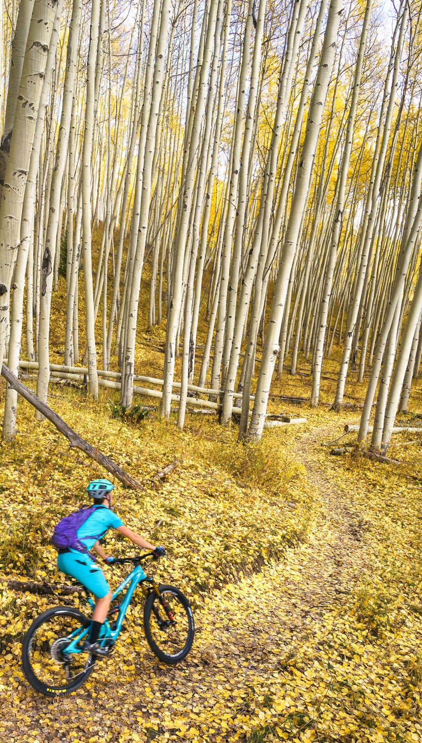 Sarah Uhl carving through a bed of aspen leaves
