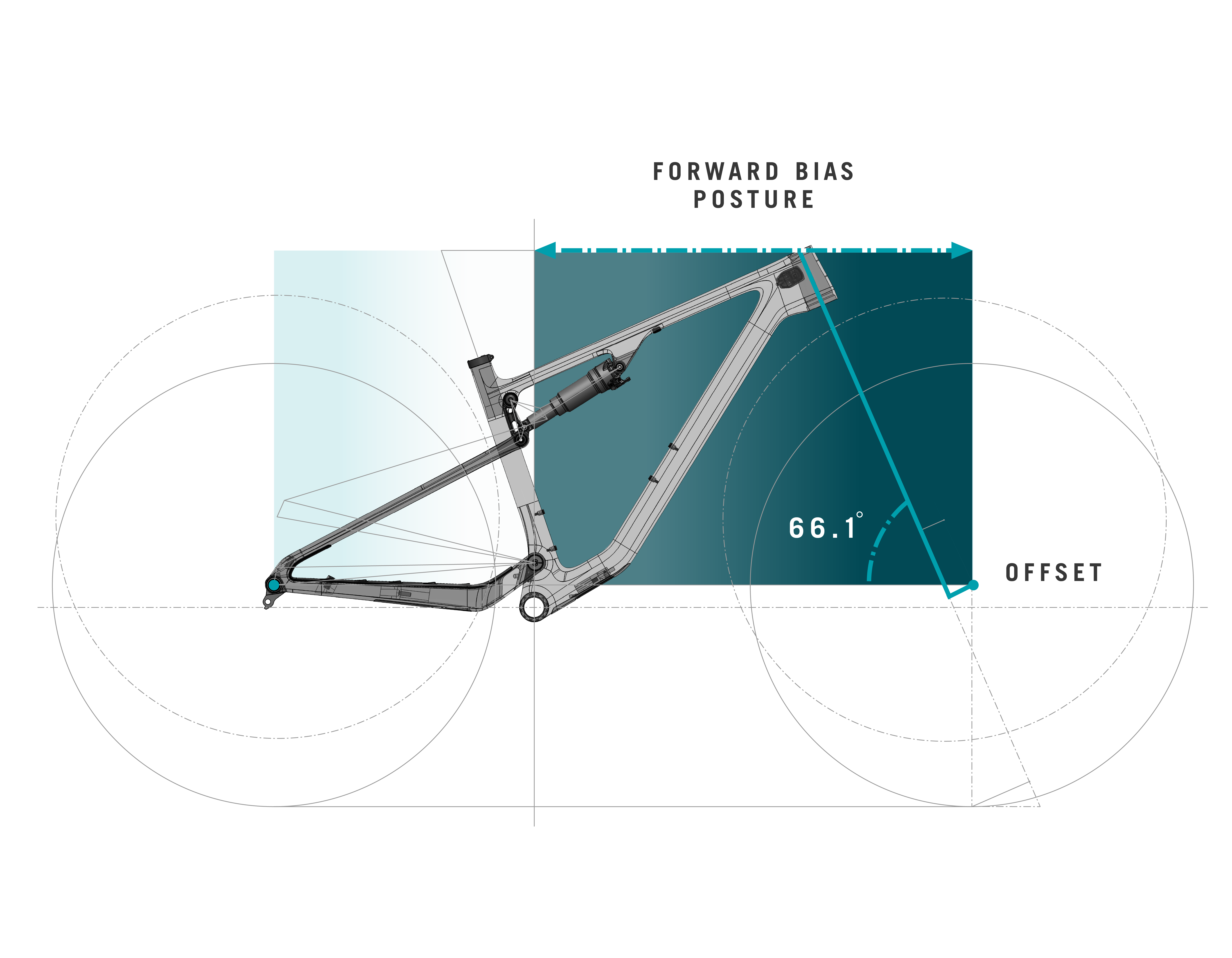 ASR LR Geo Unpack FWD Bias Posture