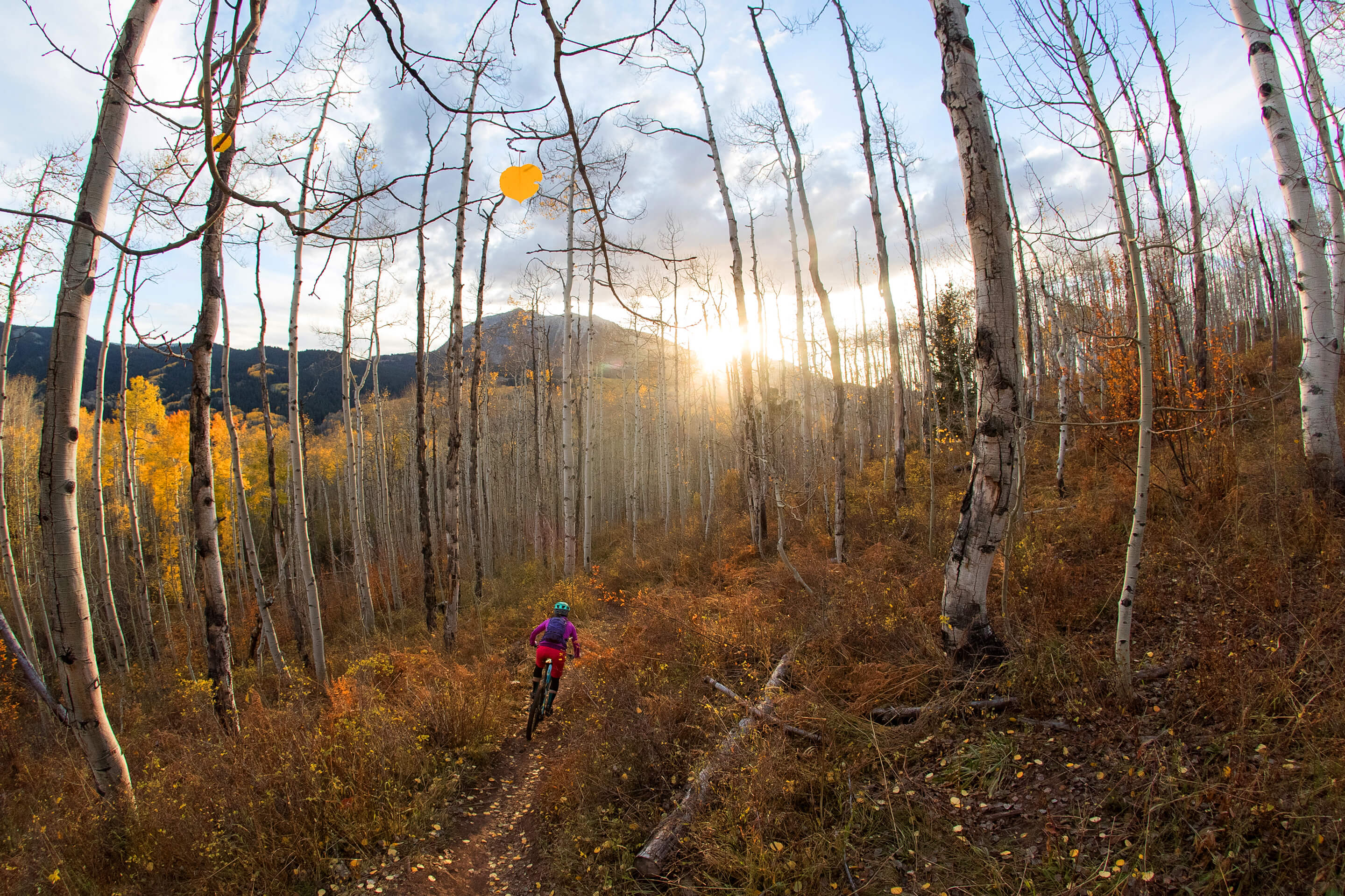 Sarah Uhl rides into the sunset in Crested Butte
