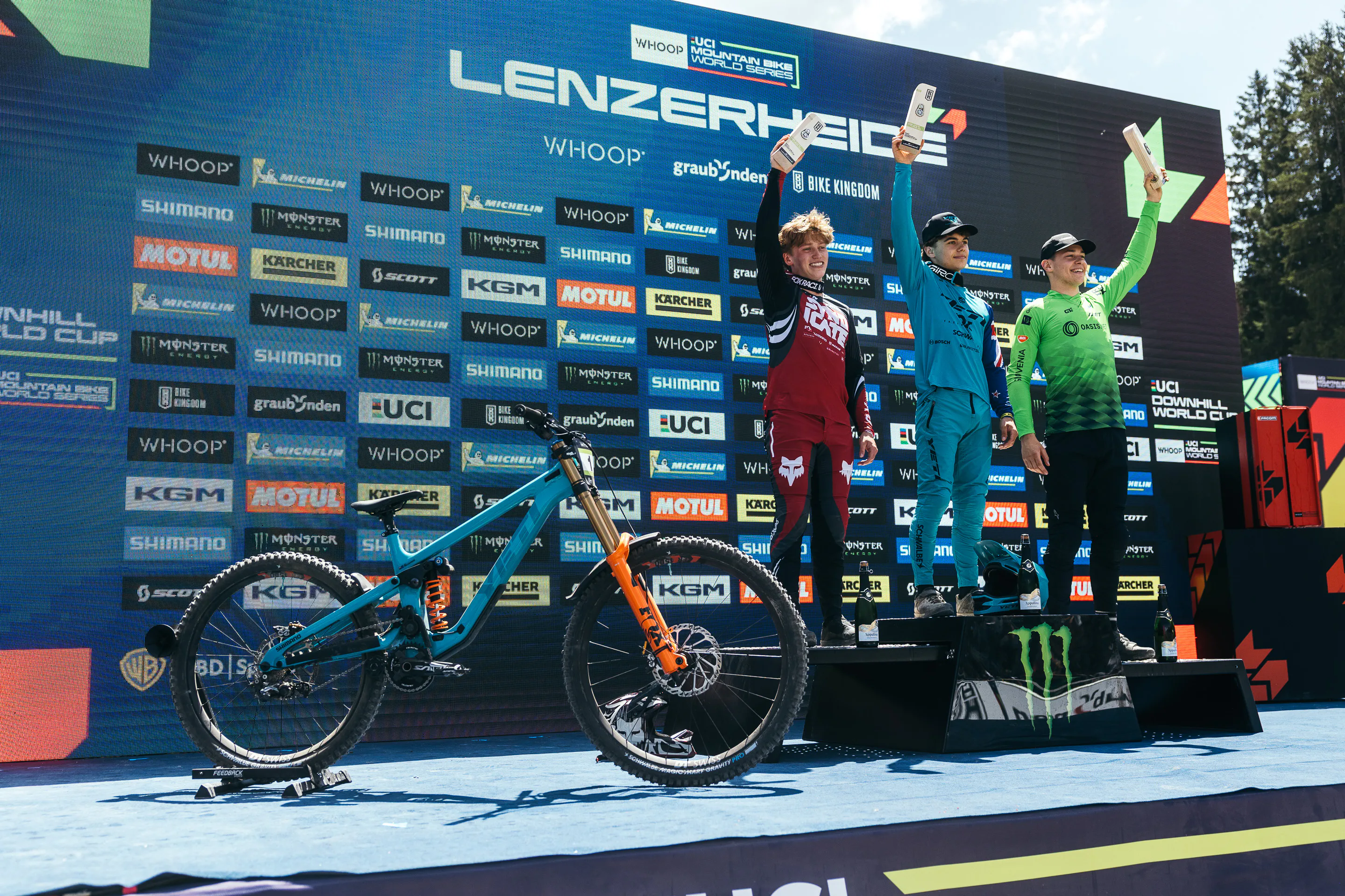 DHI.4 Lenzerhiede - Jonty Williamson