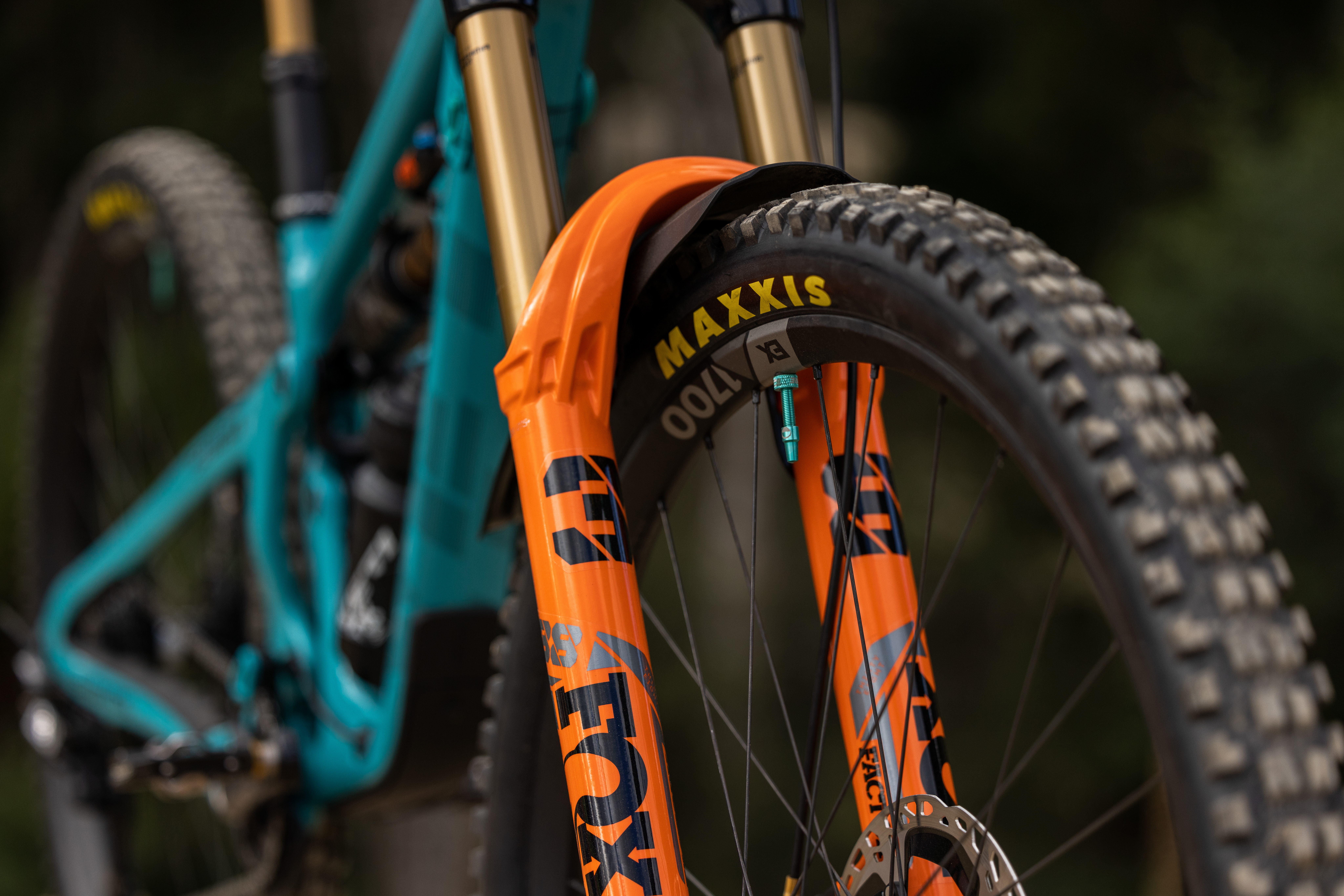 Bex Baraona Bike Check 