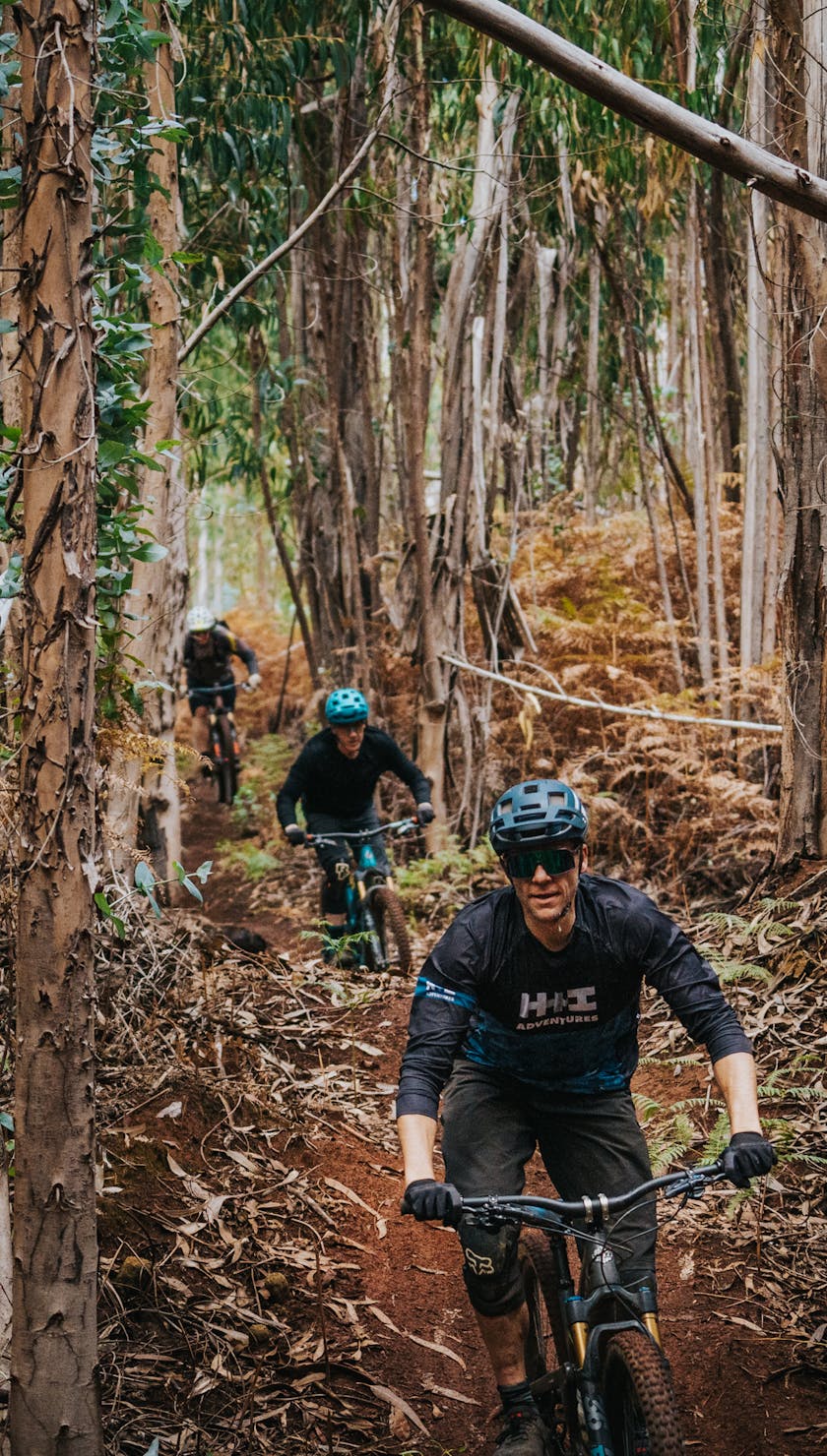 International Gathering Madeira