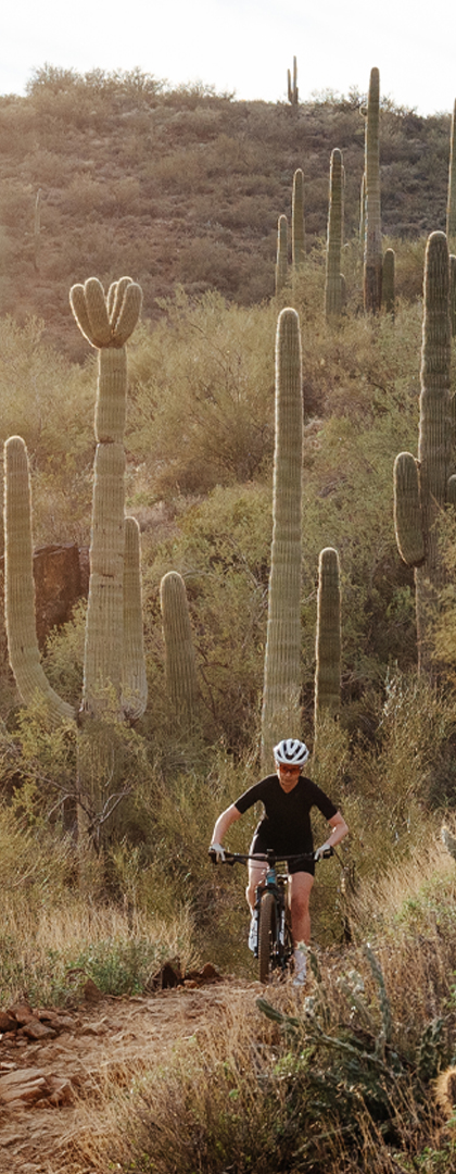 ASR Made for winning the world