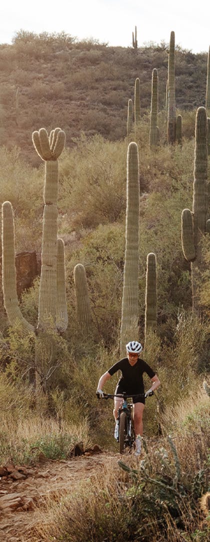 ASR Made for winning the world