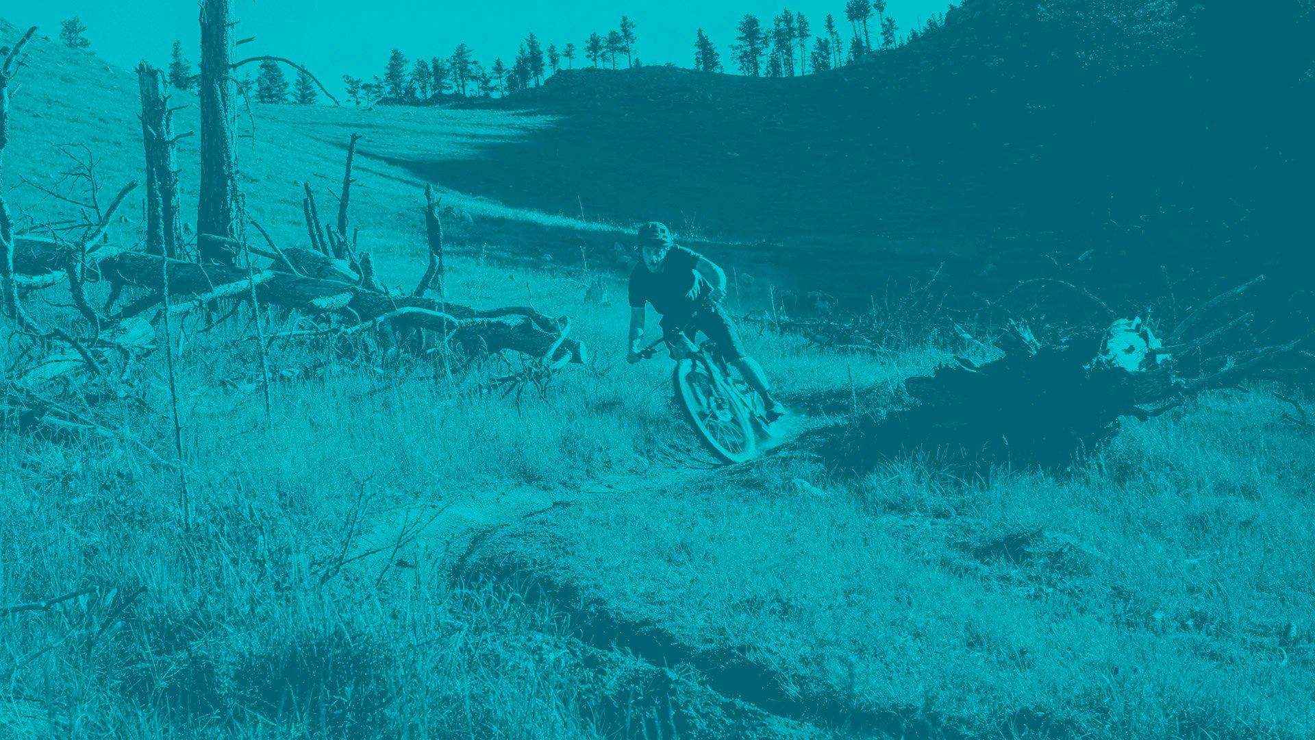 Joey Schusler SB115 Turq