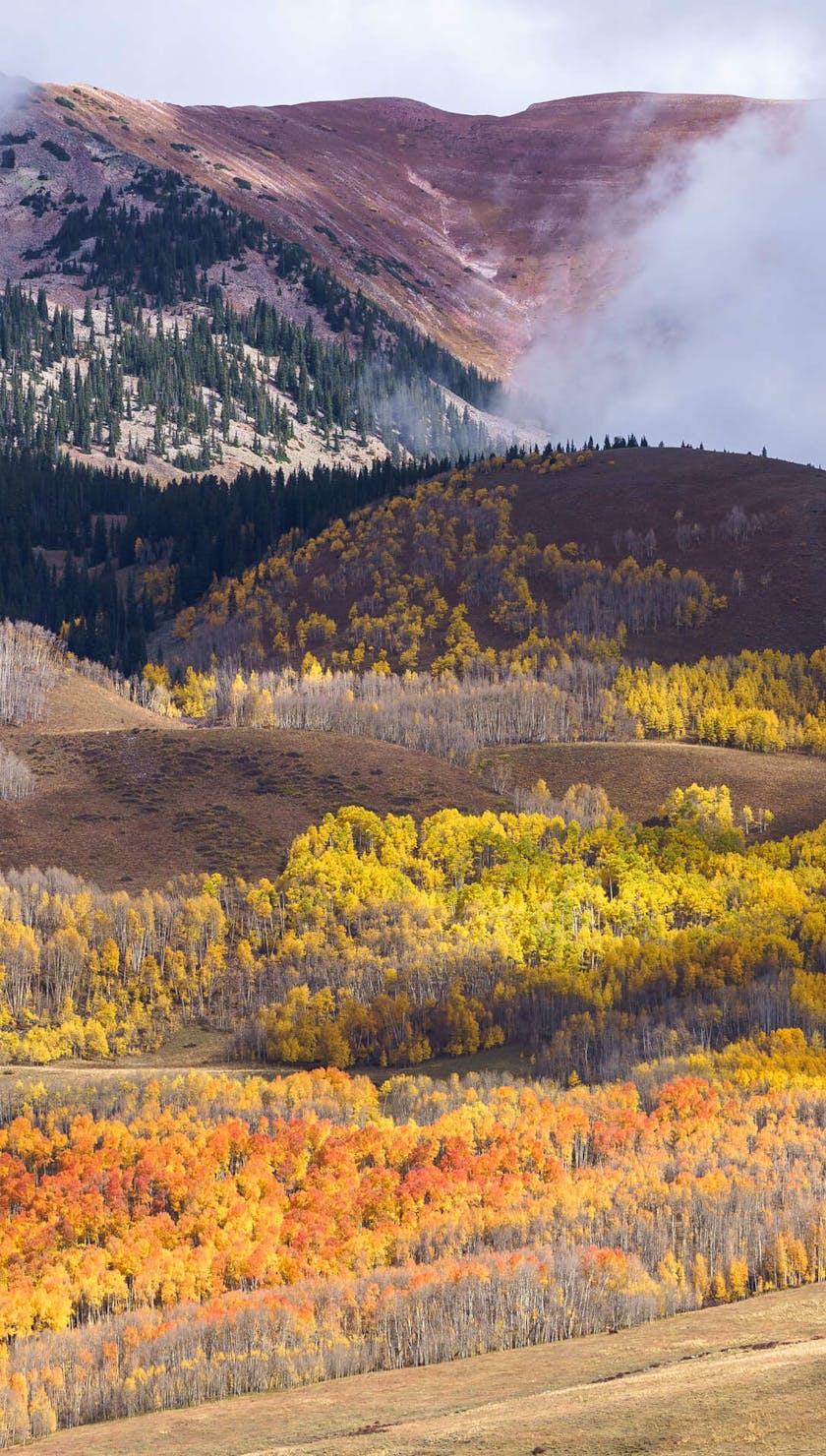 Fall time views in Crested Butte