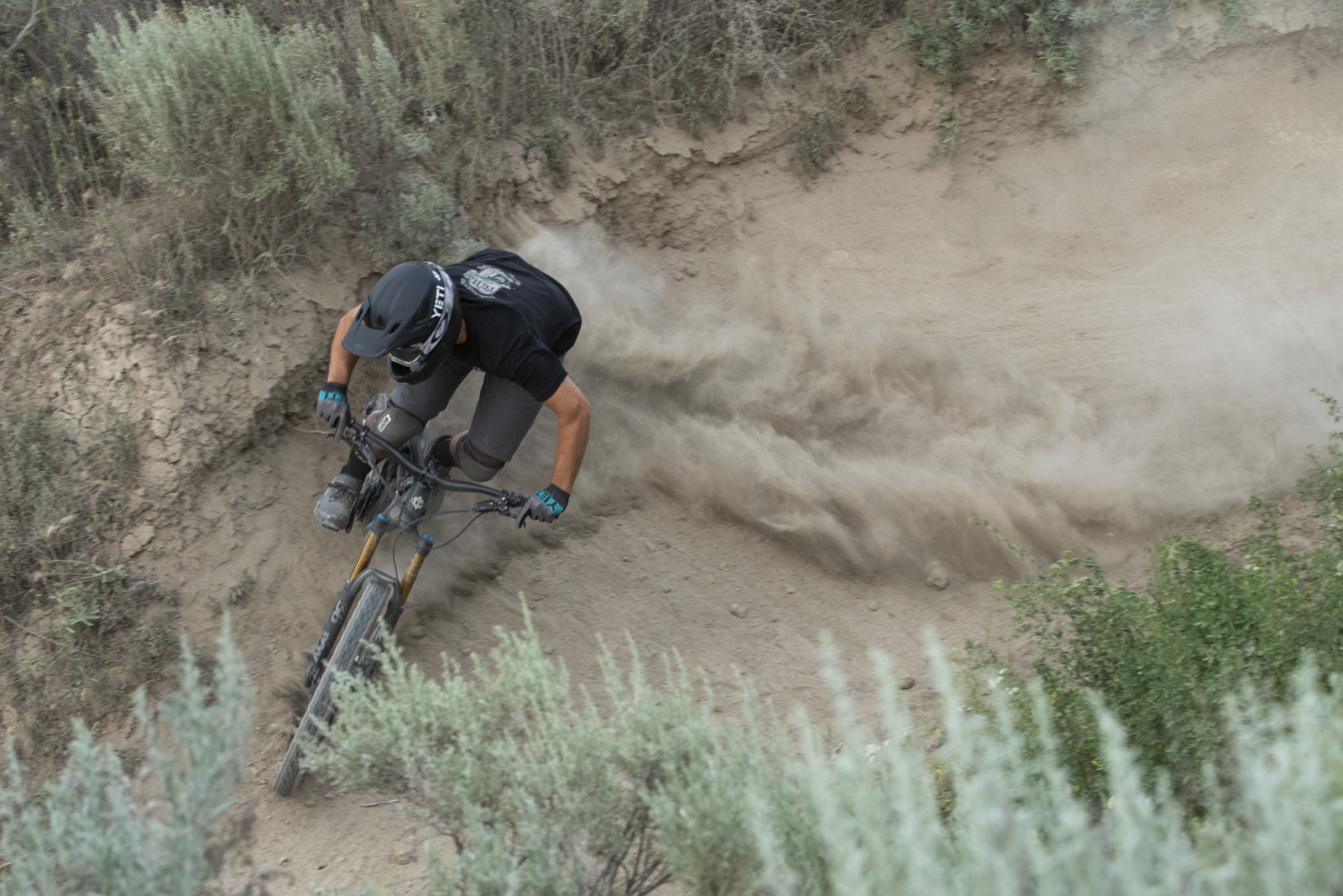 SB165 Stu Dickson Ride Feel Quote