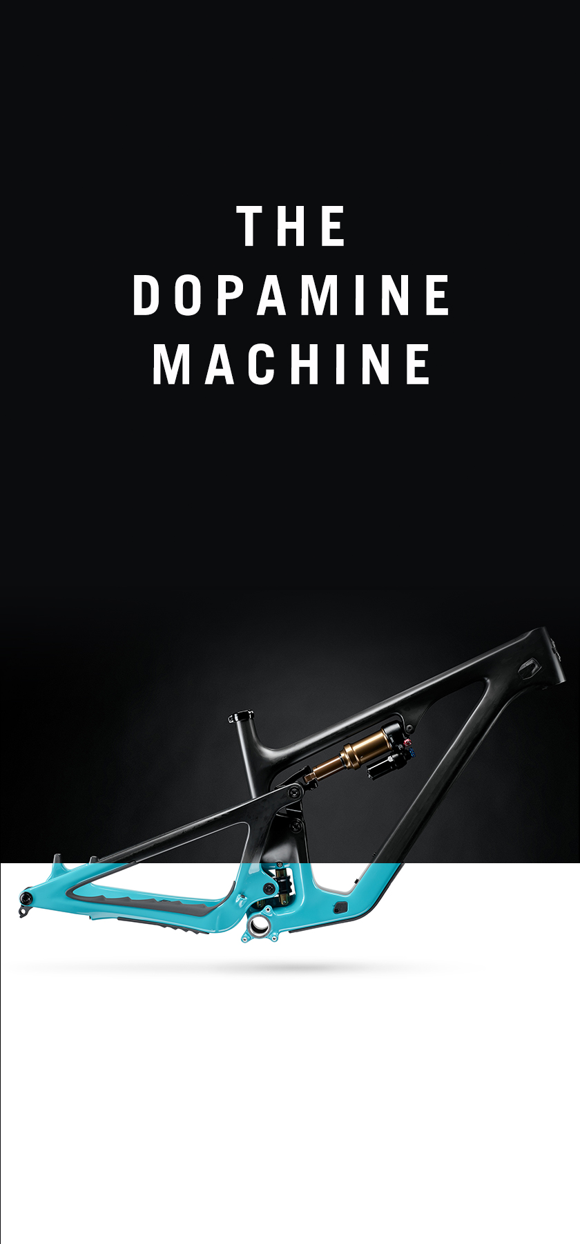 SB135 Frame Reveal Light/Dark