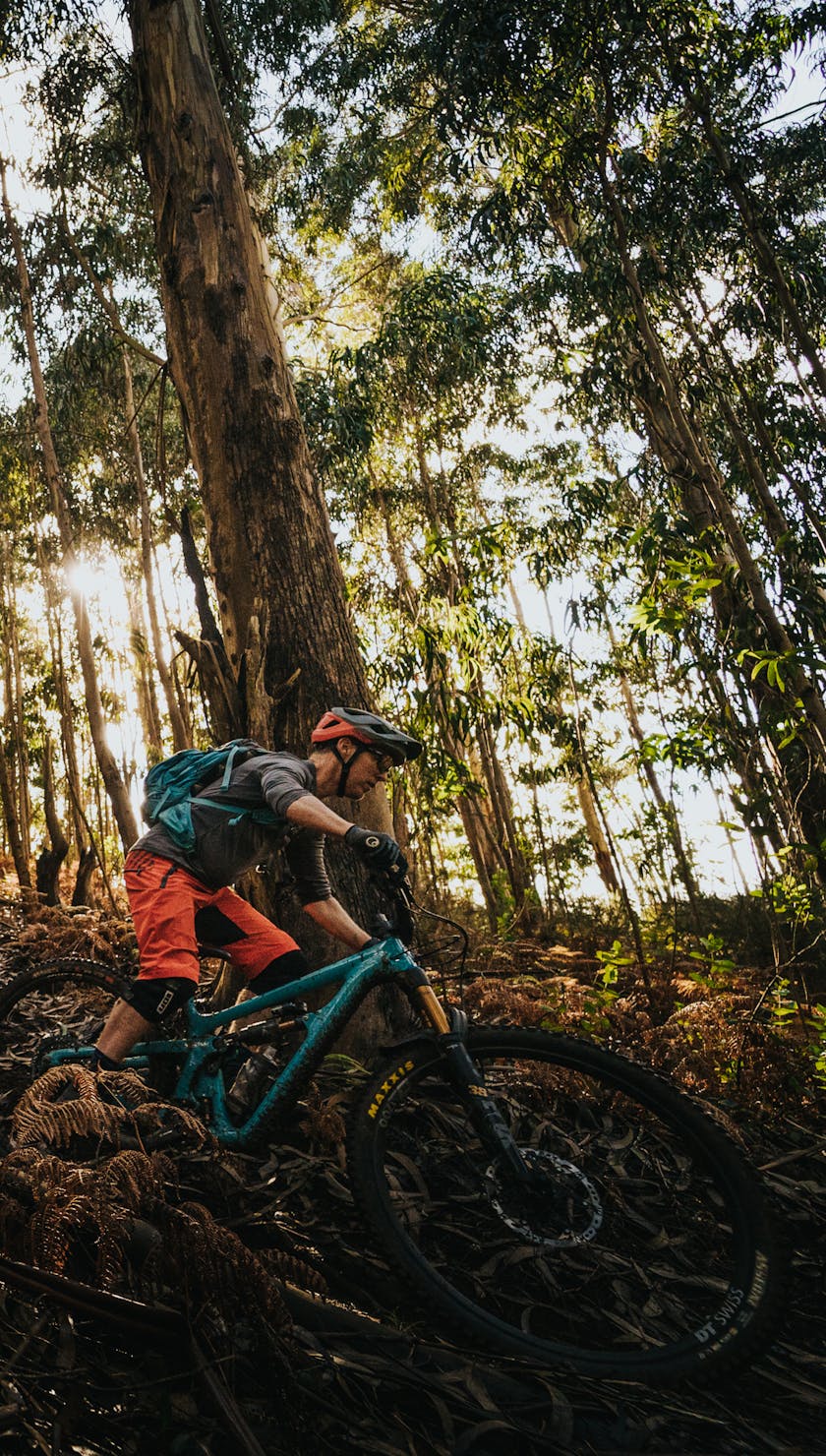 International Gathering Madeira