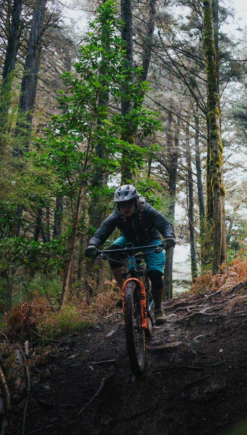 International Gathering Madeira