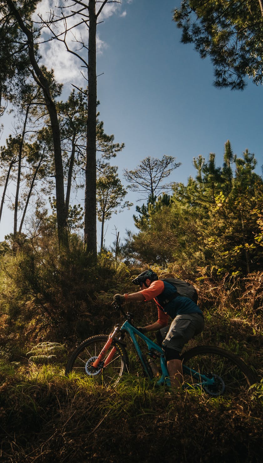 International Gathering Madeira