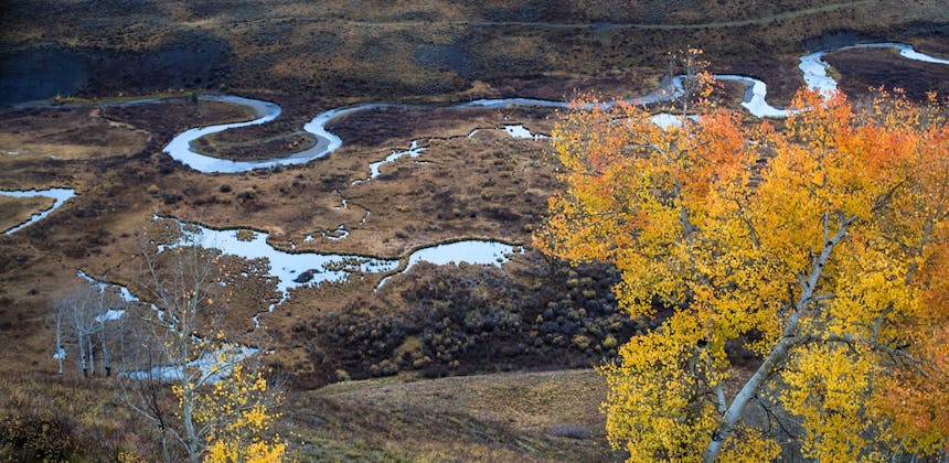 Fall aspens and a winding creek