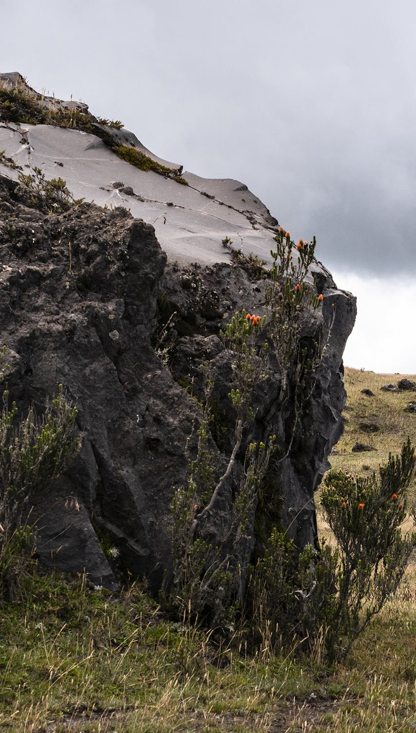 International Yeti Gathering Ecuador