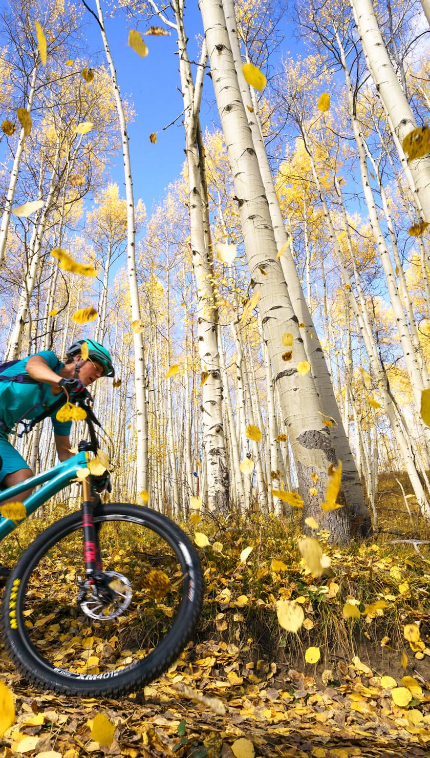 Sarah Uhl riding through falling aspen leaves
