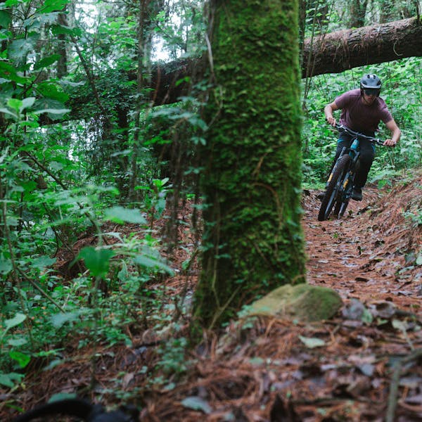 Internationales Yeti-Gathering Mexiko 2023