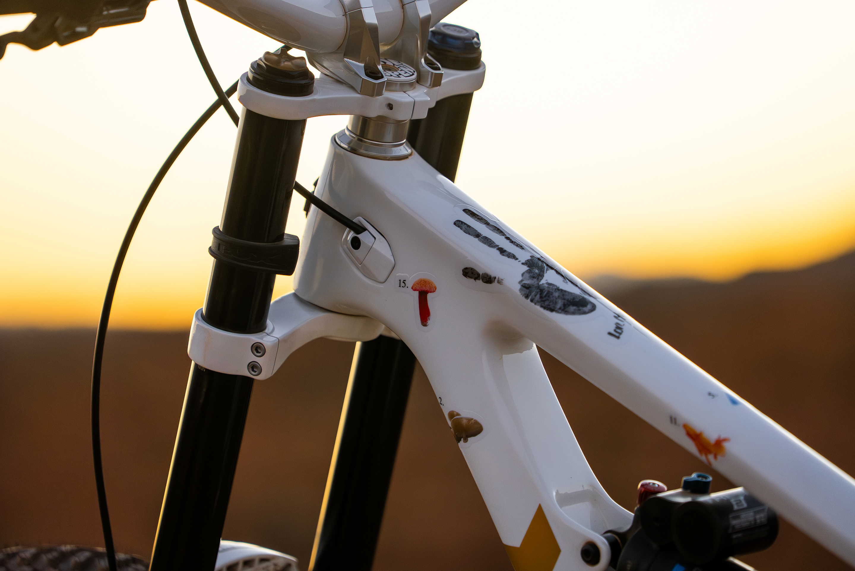 Red Bull Rampage '26 - Robin Goomes Bike Check