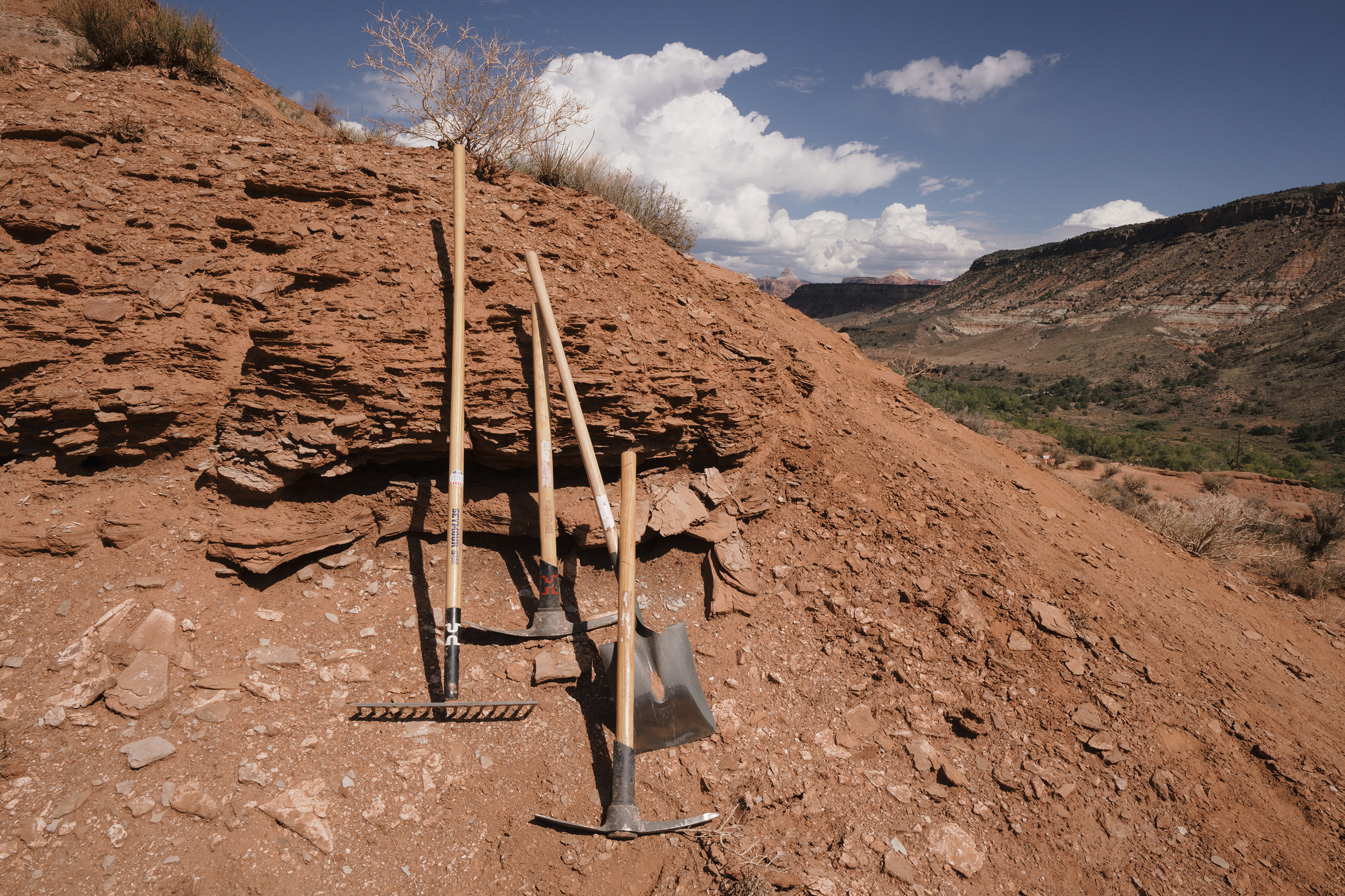 Red Bull Rampage '26 - Robin Goomes Digging