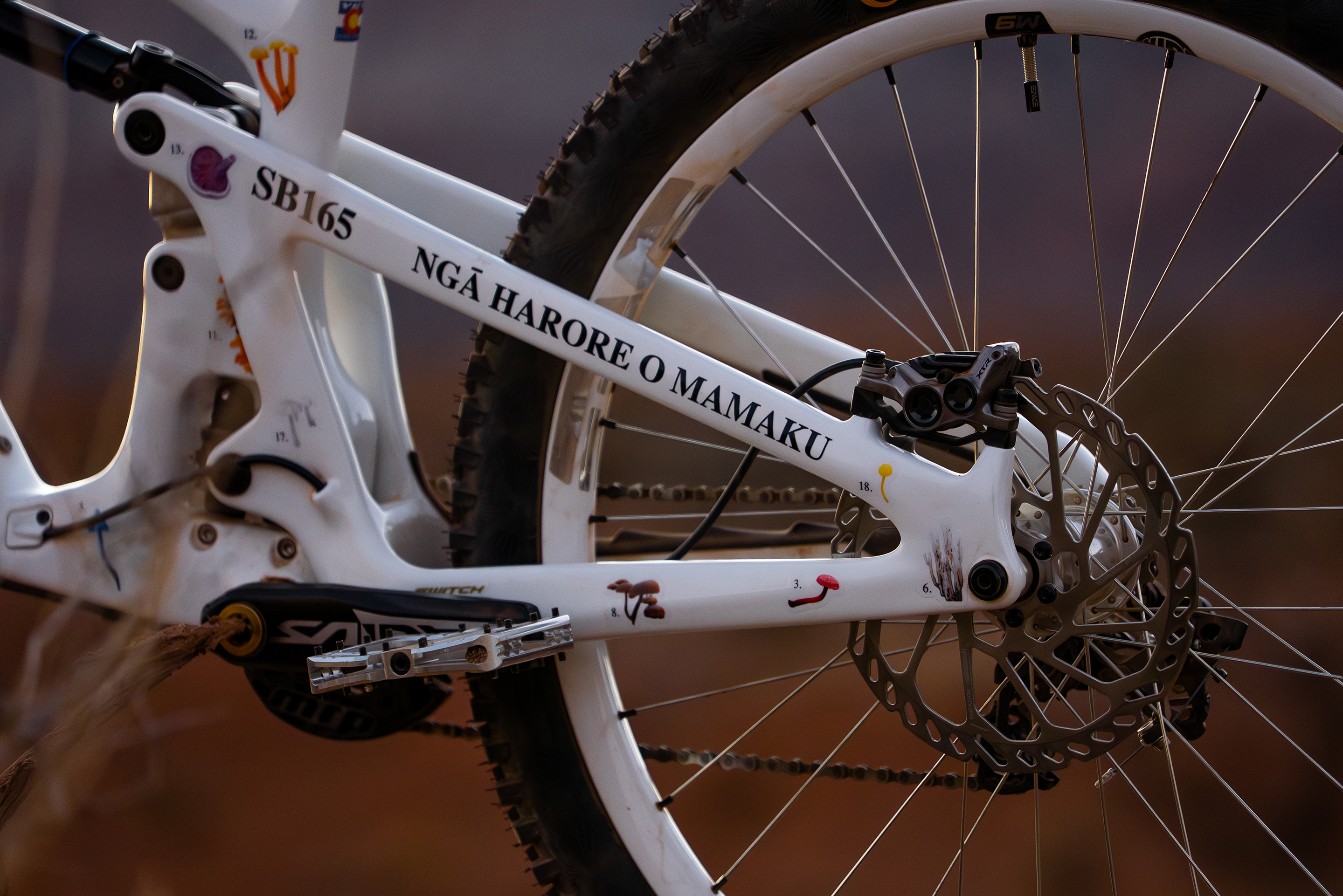 Red Bull Rampage '26 - Robin Goomes Bike Check