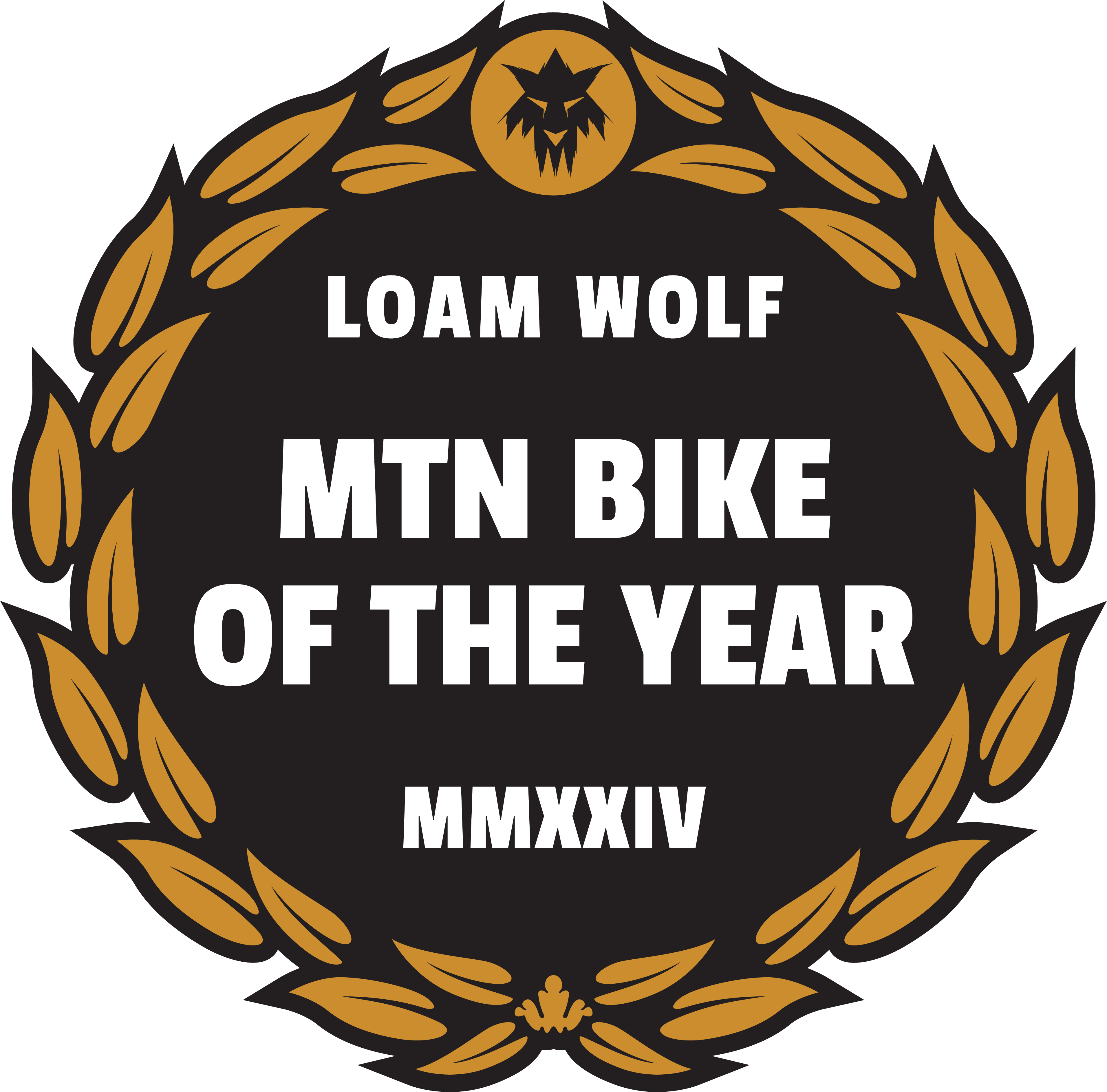 Loam Wolf Bike of The Year 2024