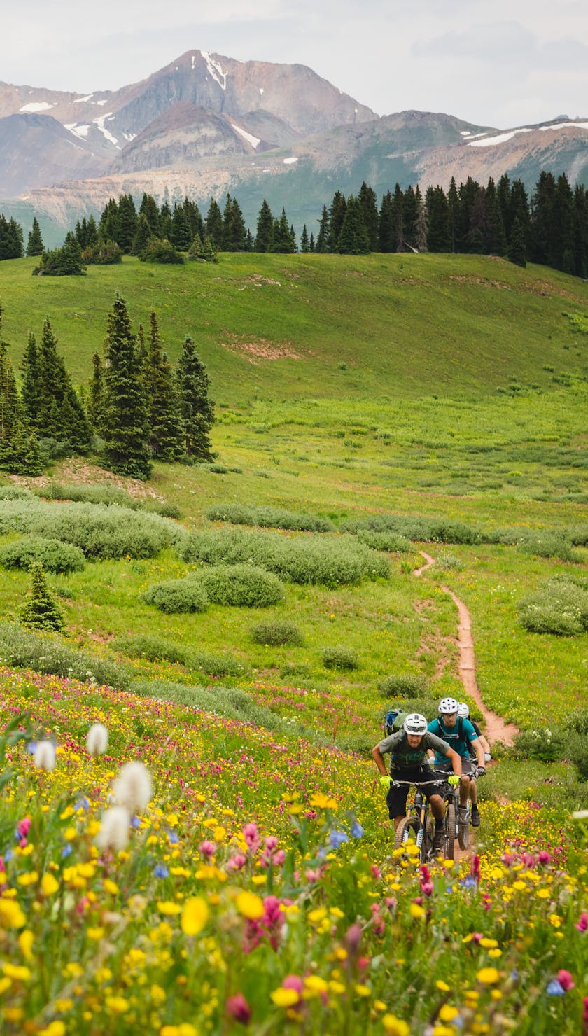 Ambassador Highlight - Sarah Rawley