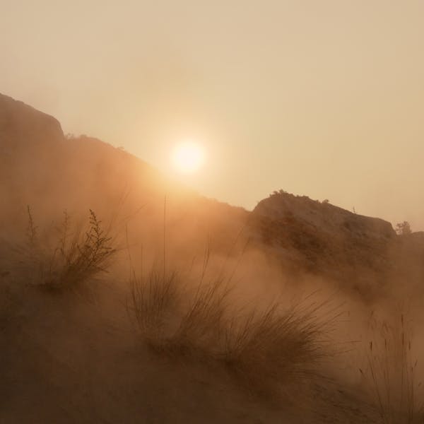 Roots Run Deep 'Robin' - Kamloops