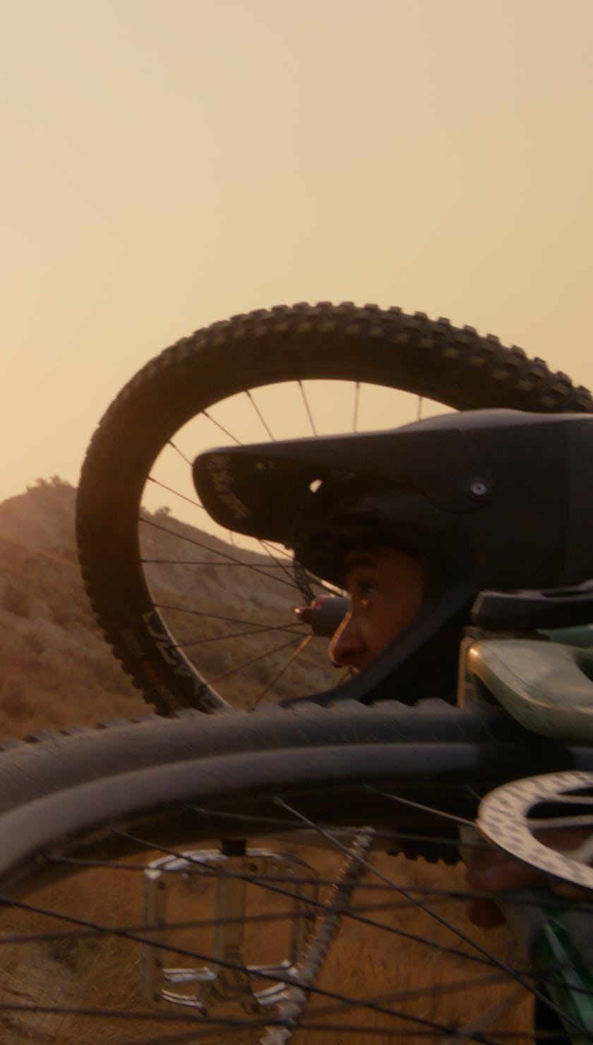 Roots Run Deep 'Robin' - Robin Goomes