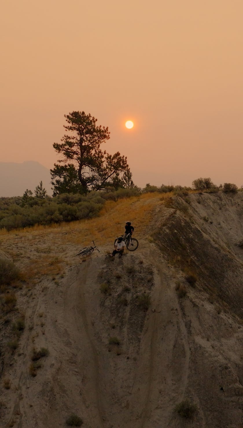 Roots Run Deep 'Robin' - Kamloops