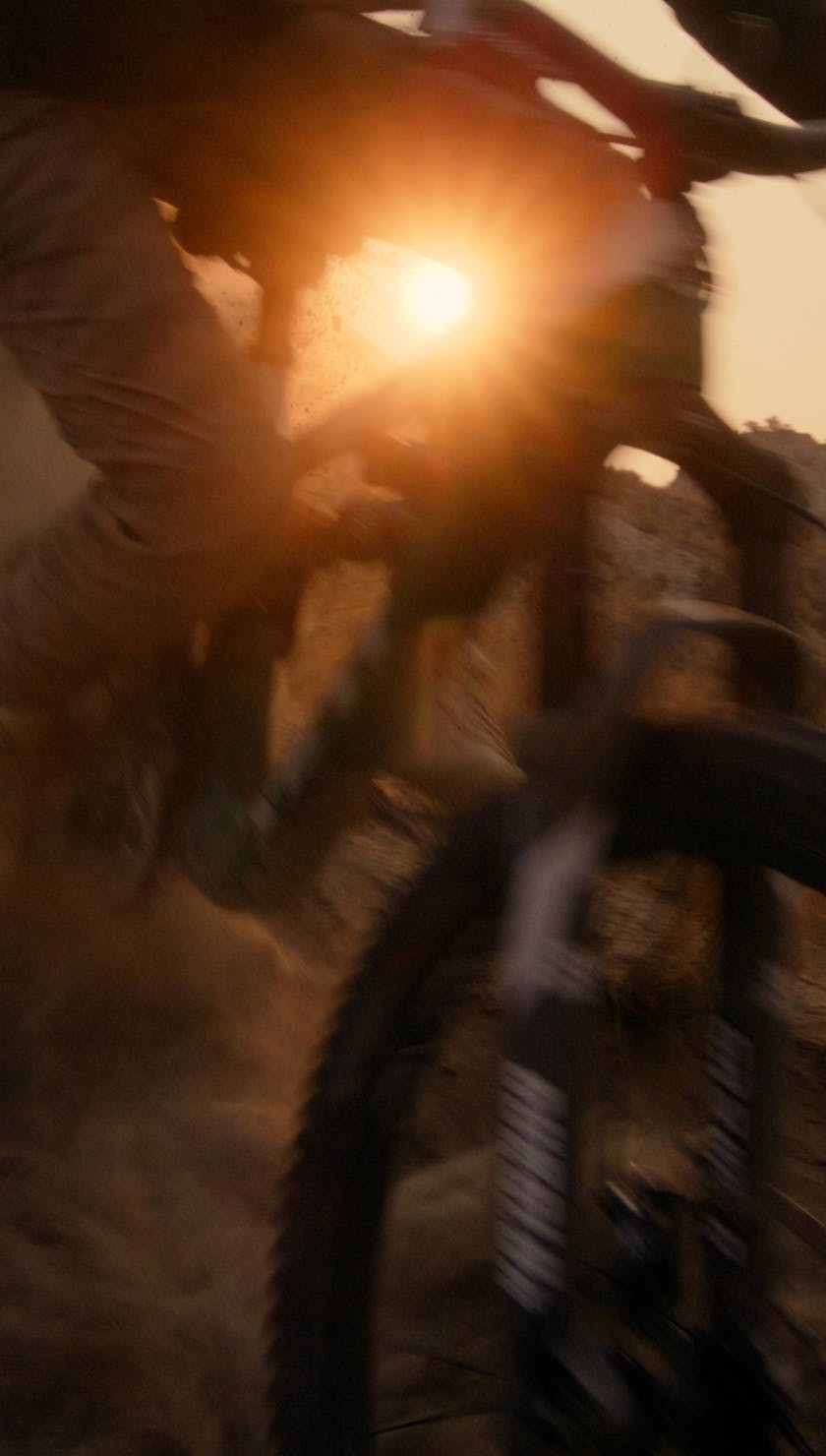 Roots Run Deep 'Robin' - Robin Goomes