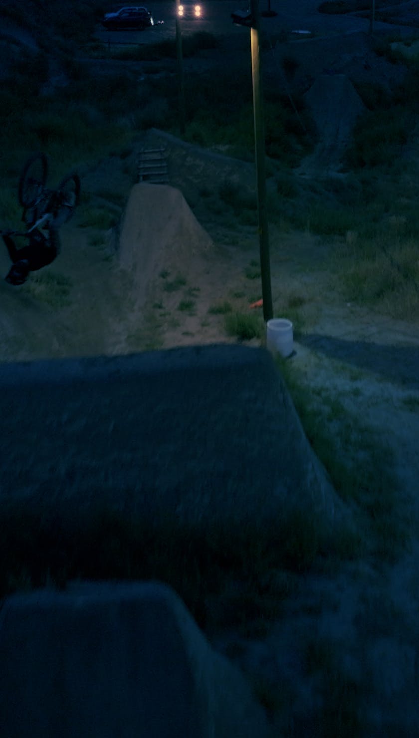 Roots Run Deep 'Robin' - Robin Goomes