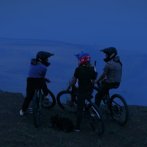 Roots Run Deep 'Robin' - Robin Goomes