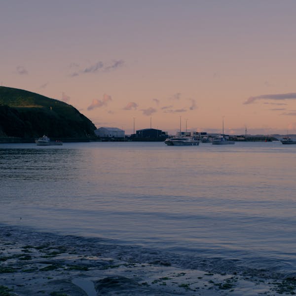 Roots Run Deep 'Robin' - Boats