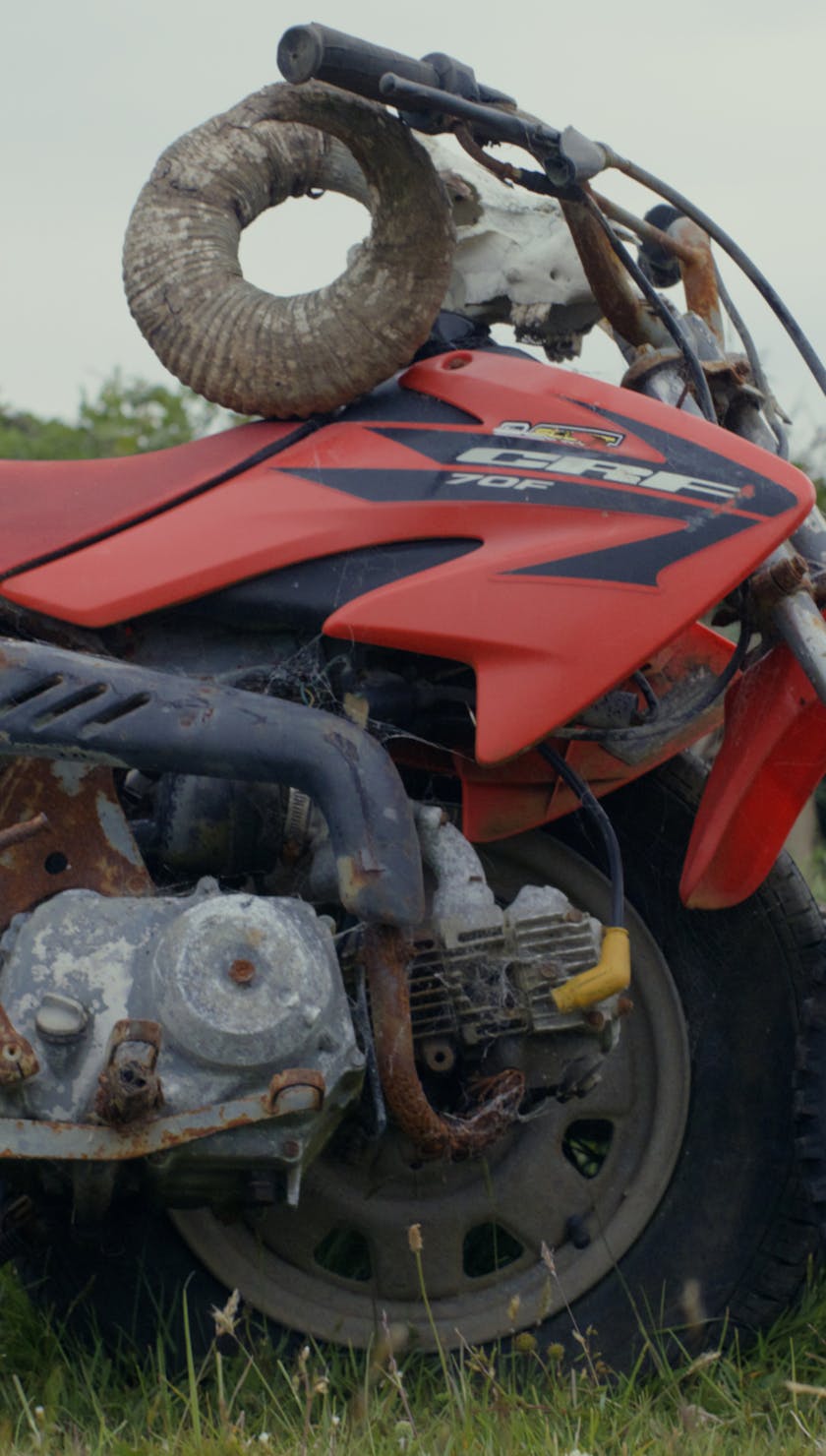 Roots Run Deep 'Robin' - Moto