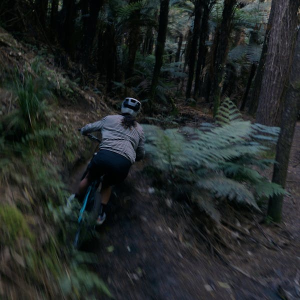 Roots Run Deep 'Robin' - Robin Goomes