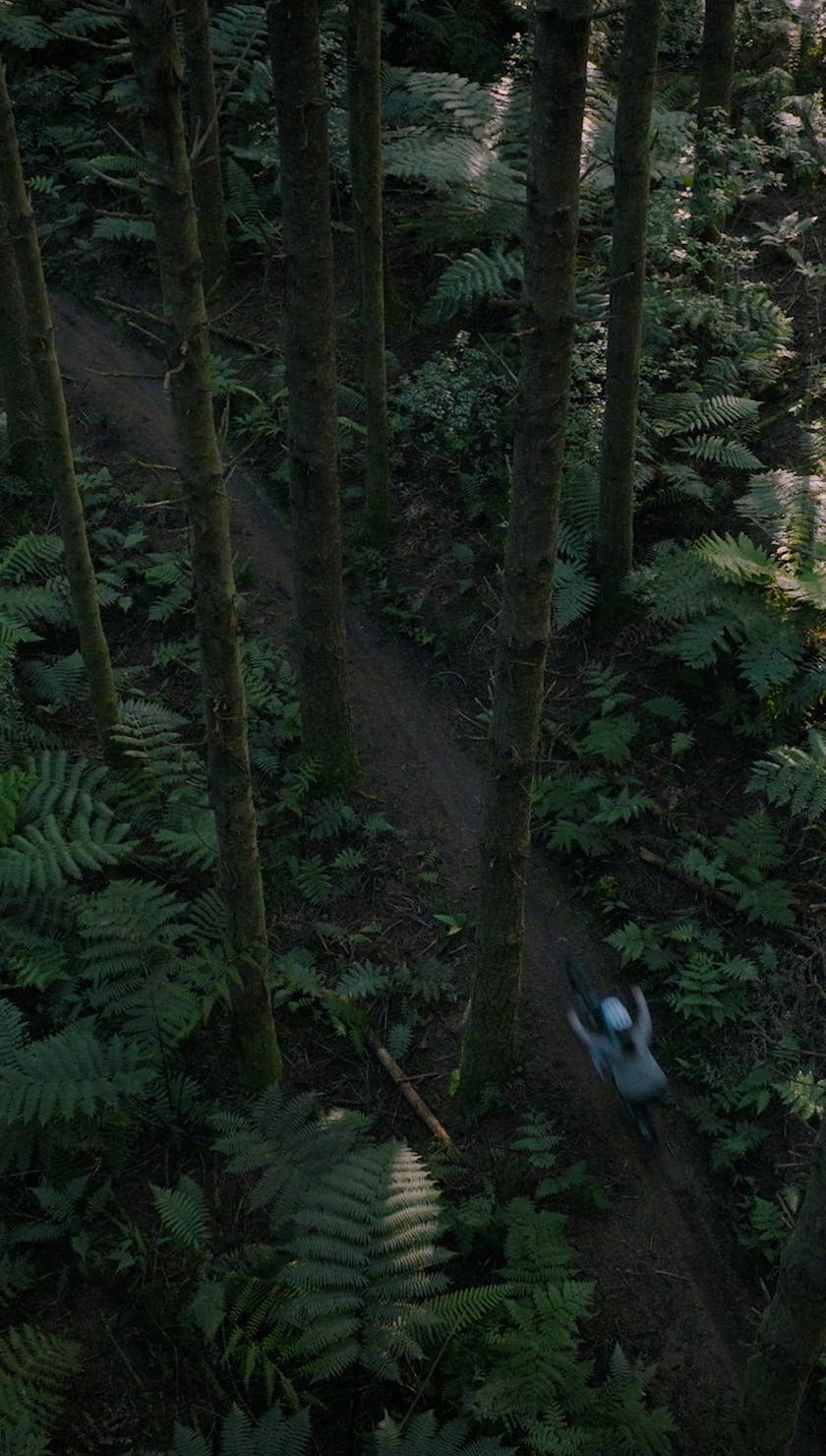 Roots Run Deep 'Robin' - Robin Goomes