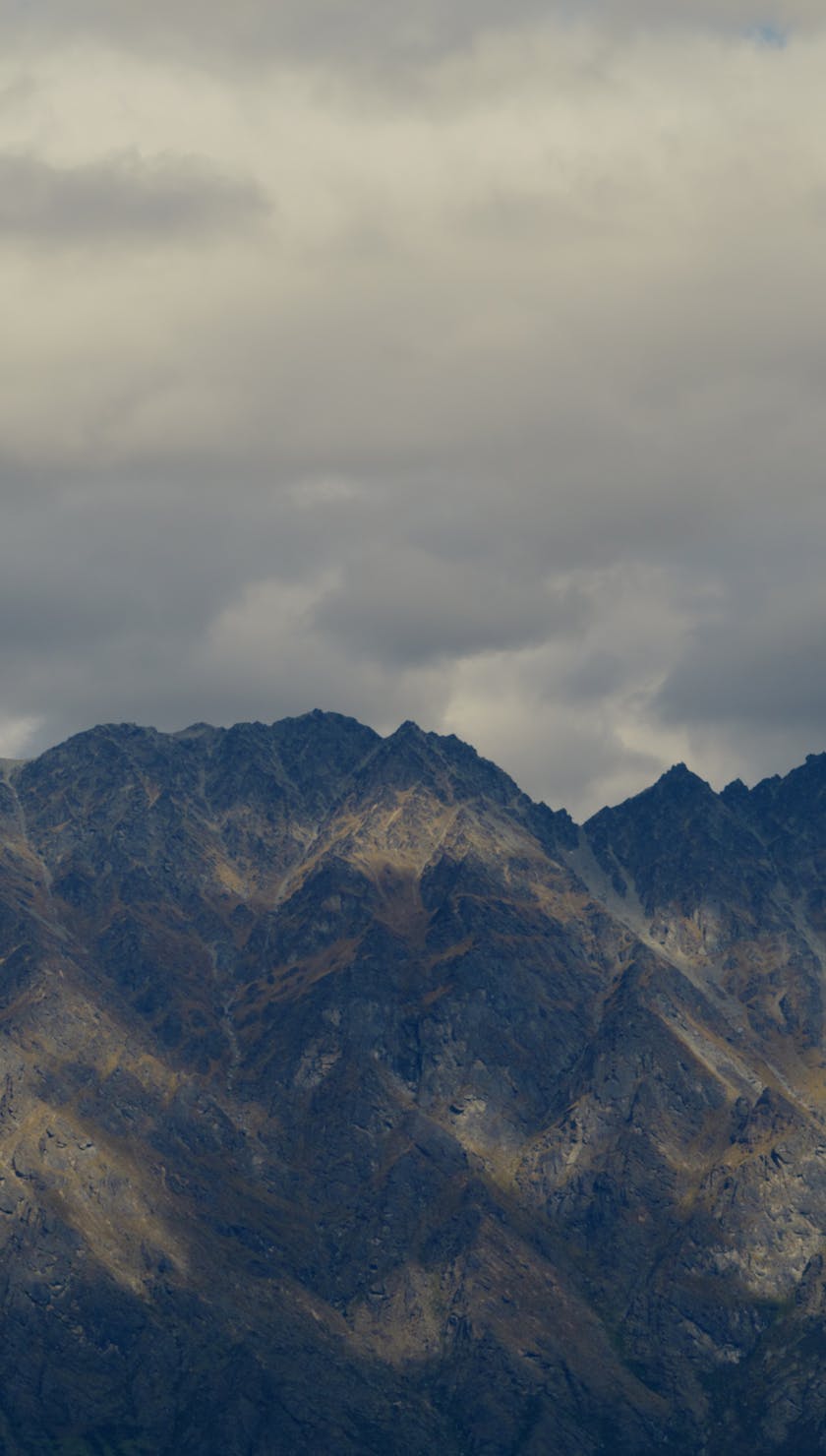 Roots Run Deep 'Robin'