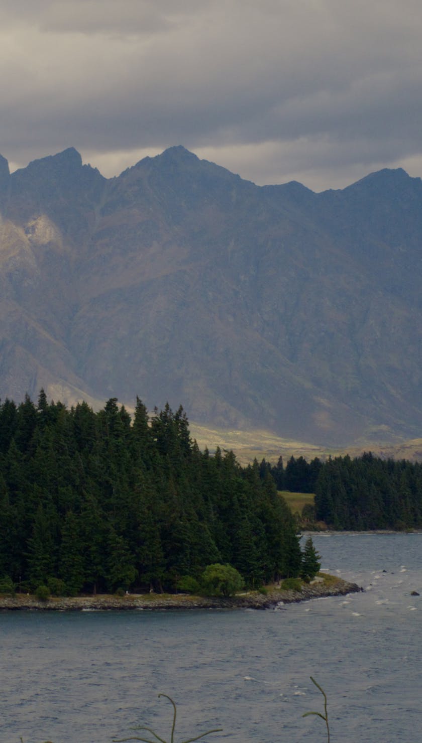 Roots Run Deep 'Robin'