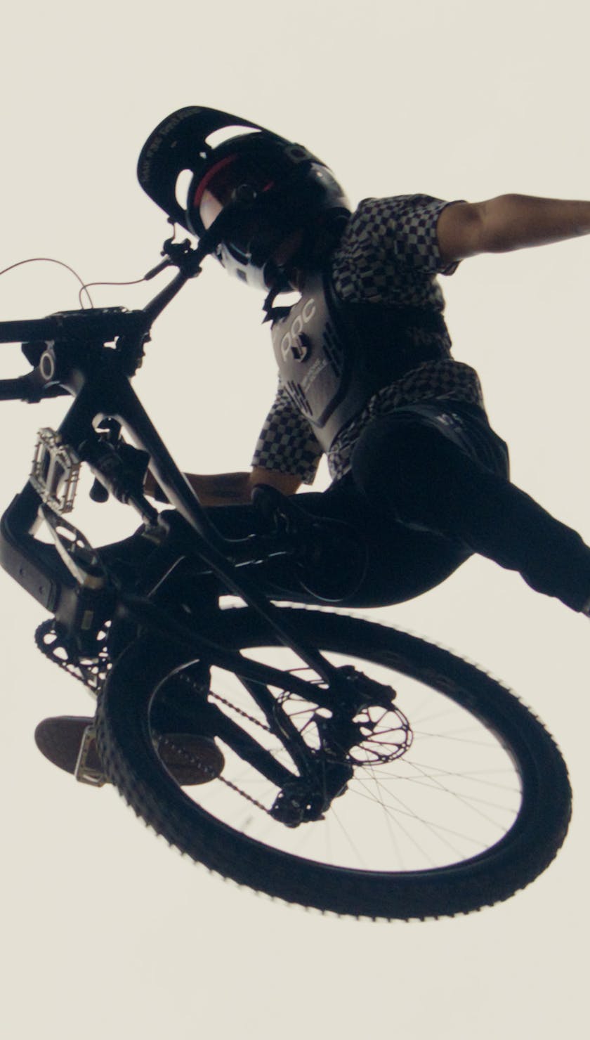 Roots Run Deep 'Robin' - Robin Goomes