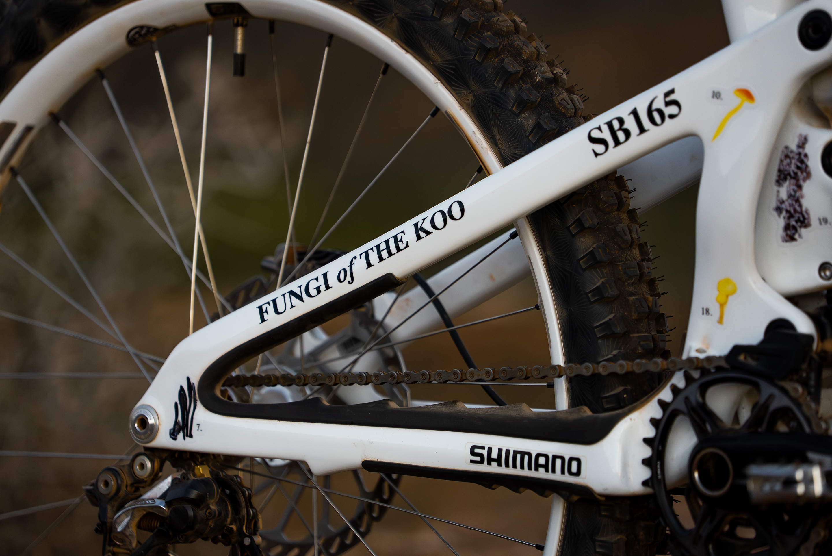 Red Bull Rampage '26 - Robin Goomes Bike Check