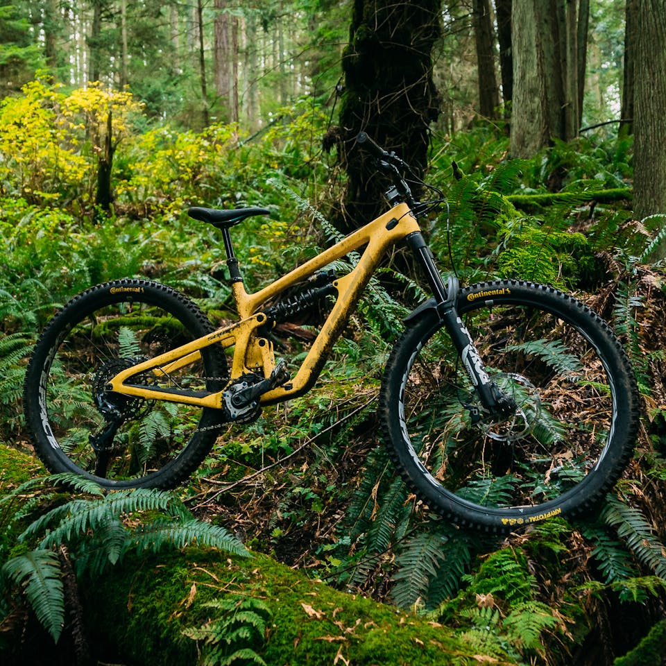 Dave Trumpore Yeti SB160