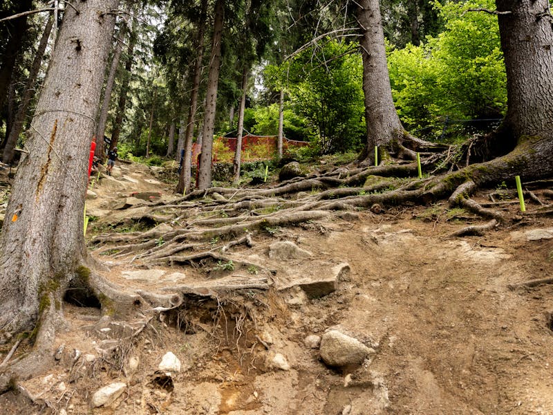 2025 DHI.4 Val Di Sole - Roots on track