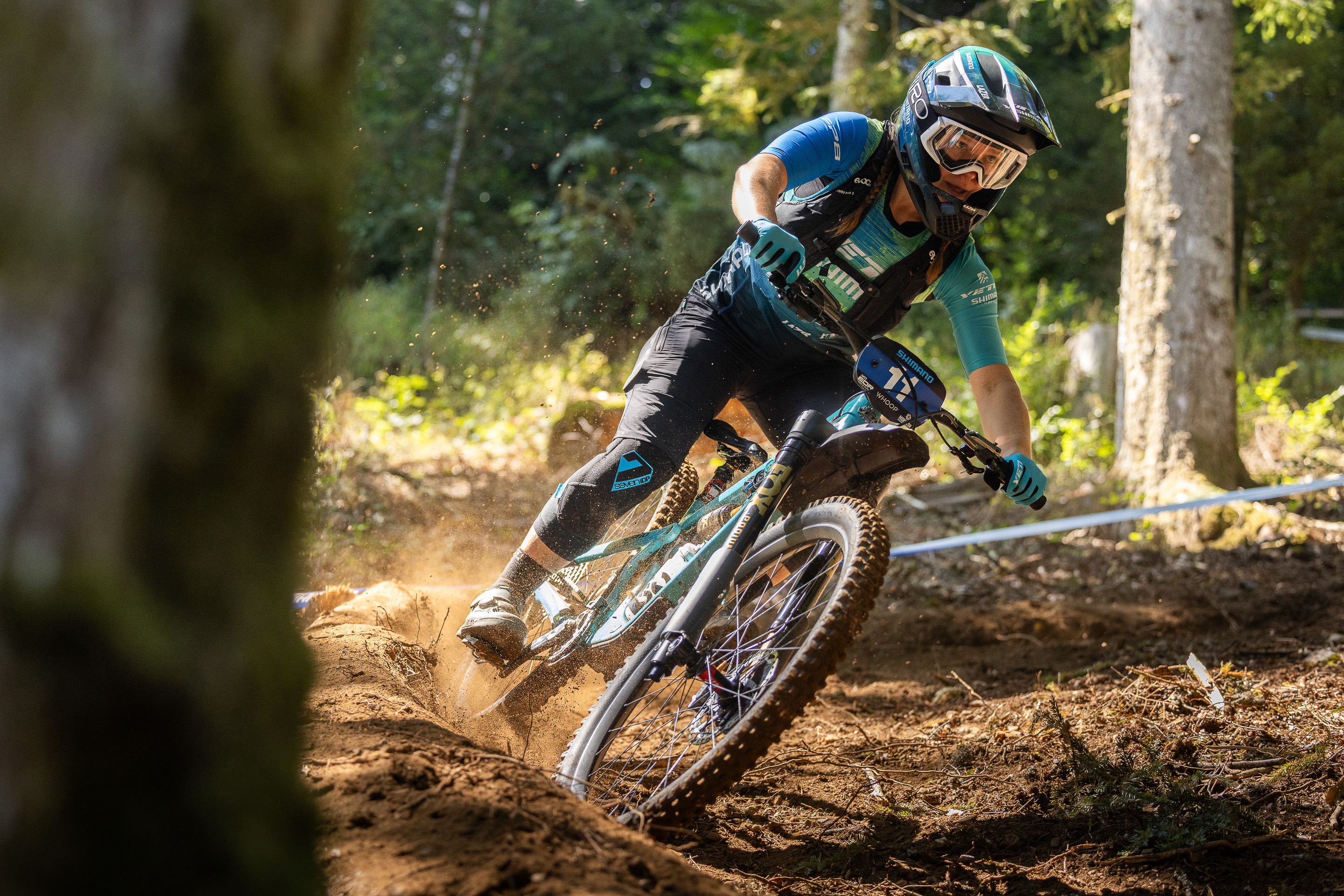 EDR.7 Morillon - George Swift