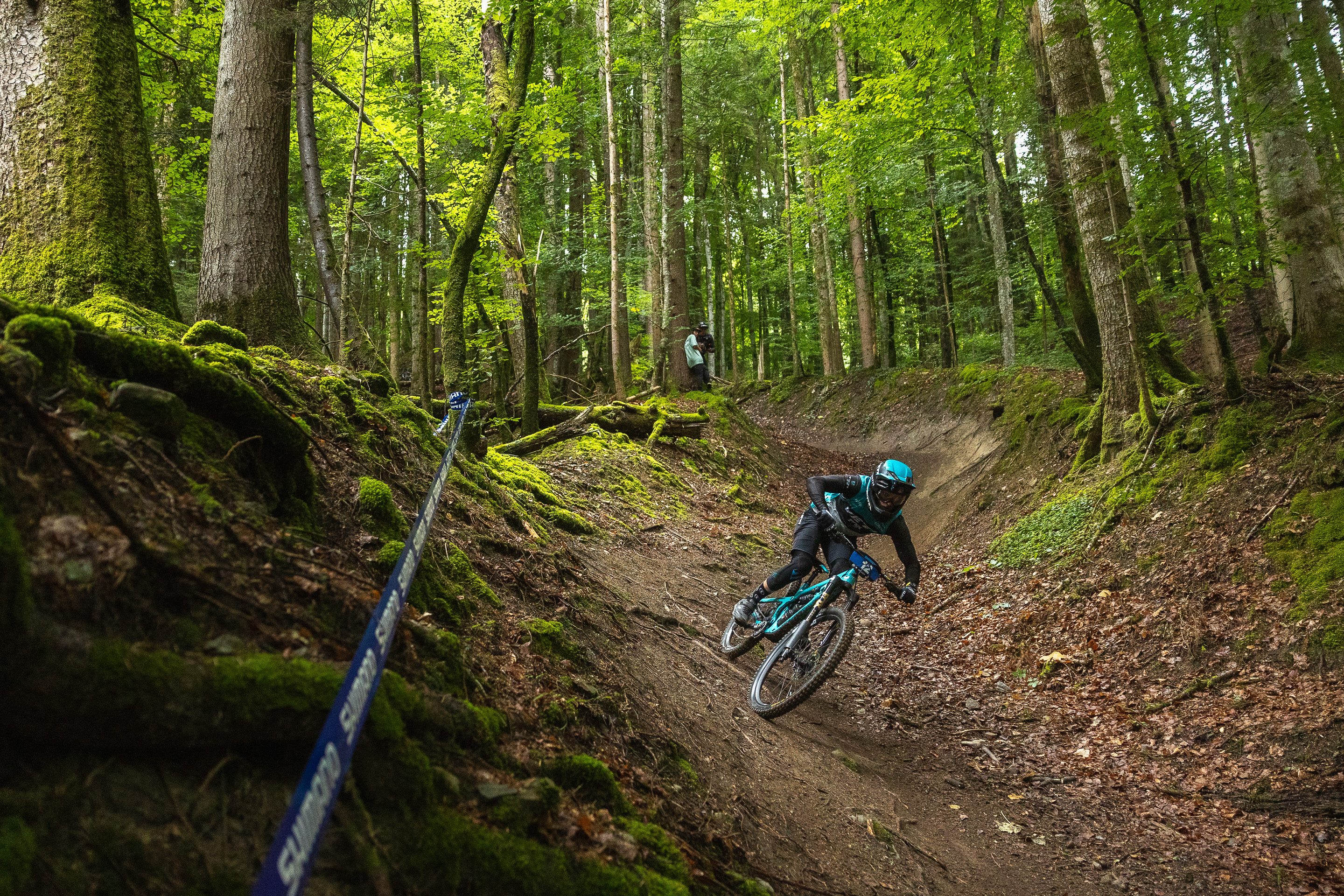 EDR.7 Morillon - JT Fisher