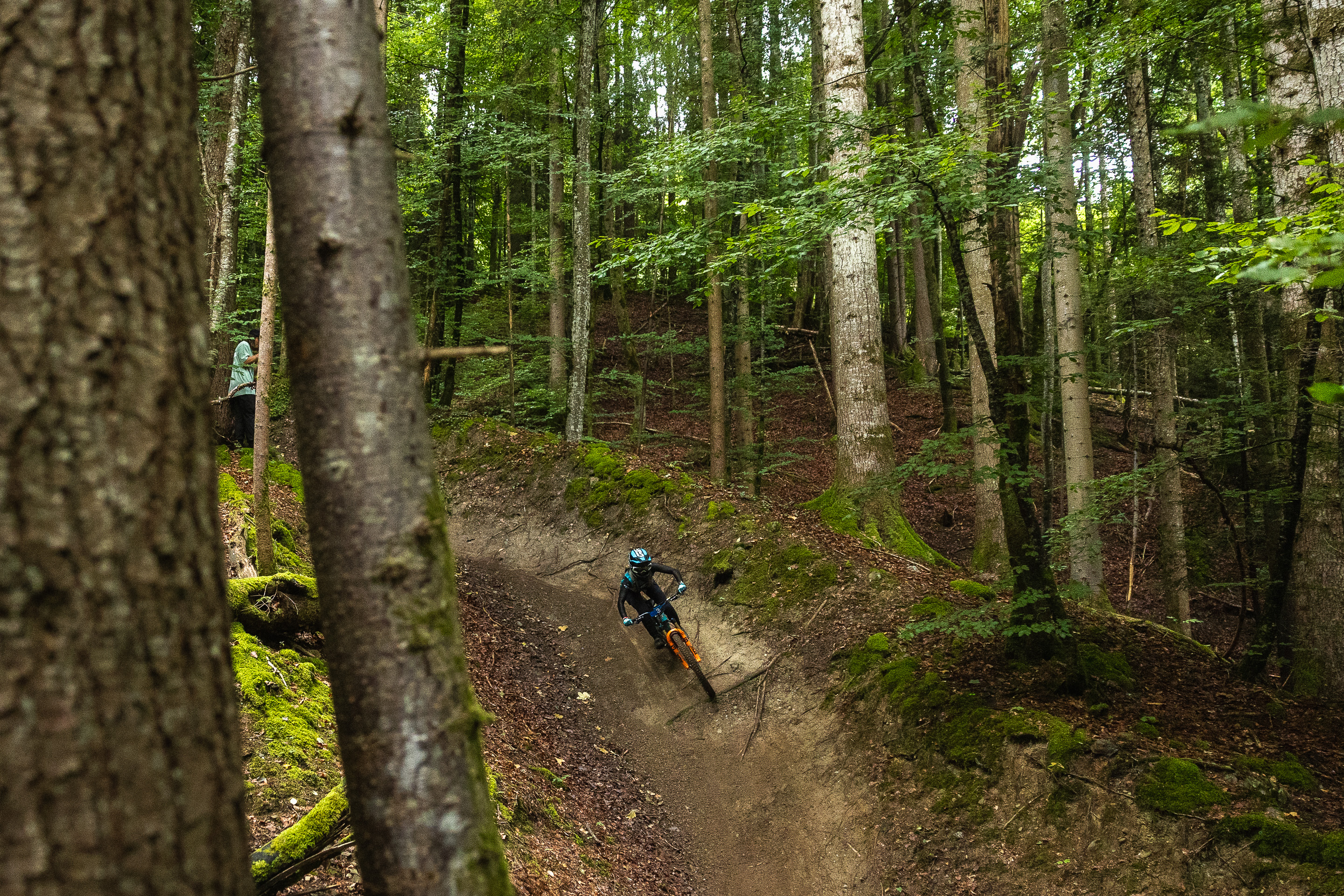 EDR.7 Morillon - Chole Bear