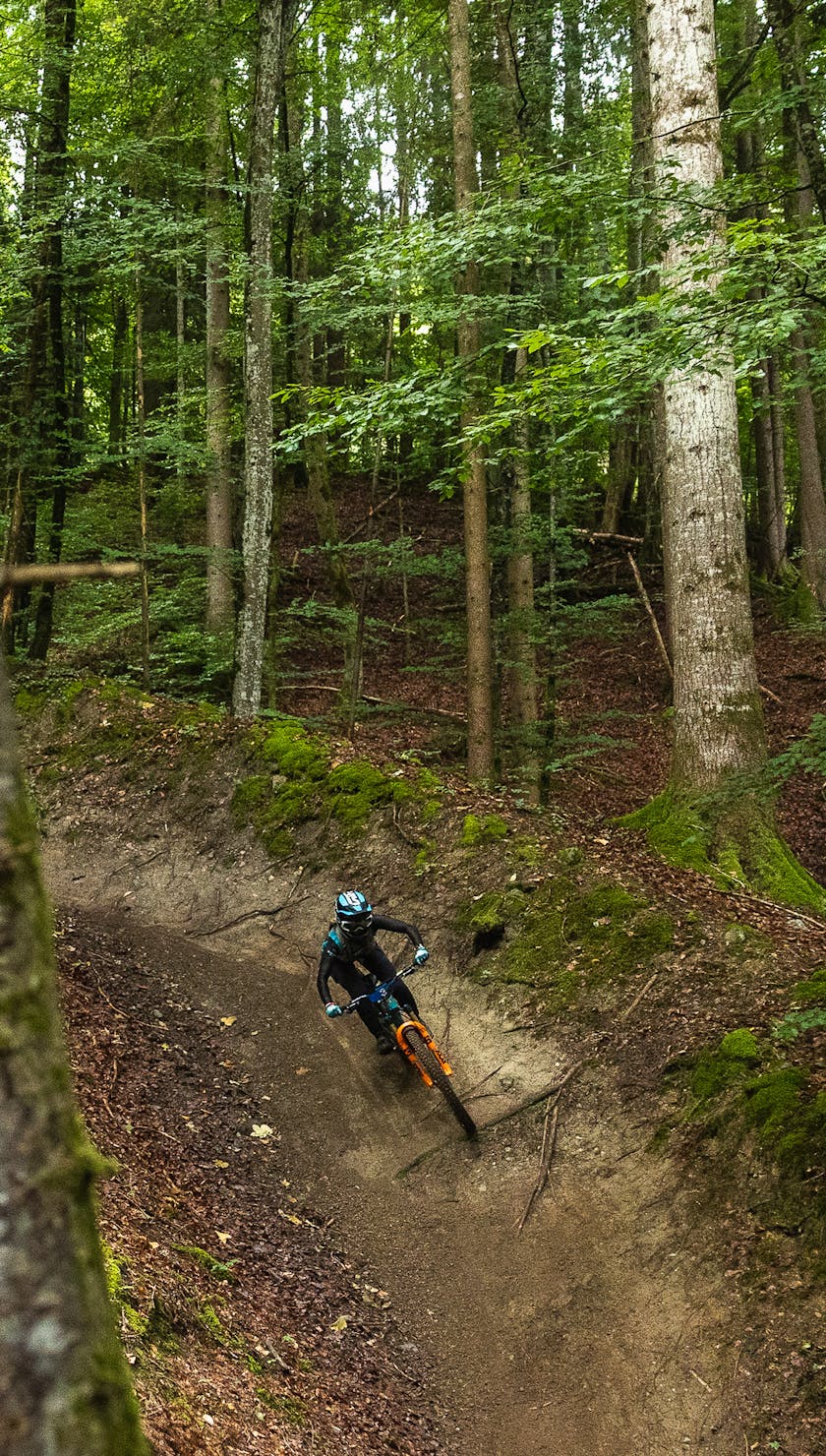 EDR.7 Morillon - Chole Bear