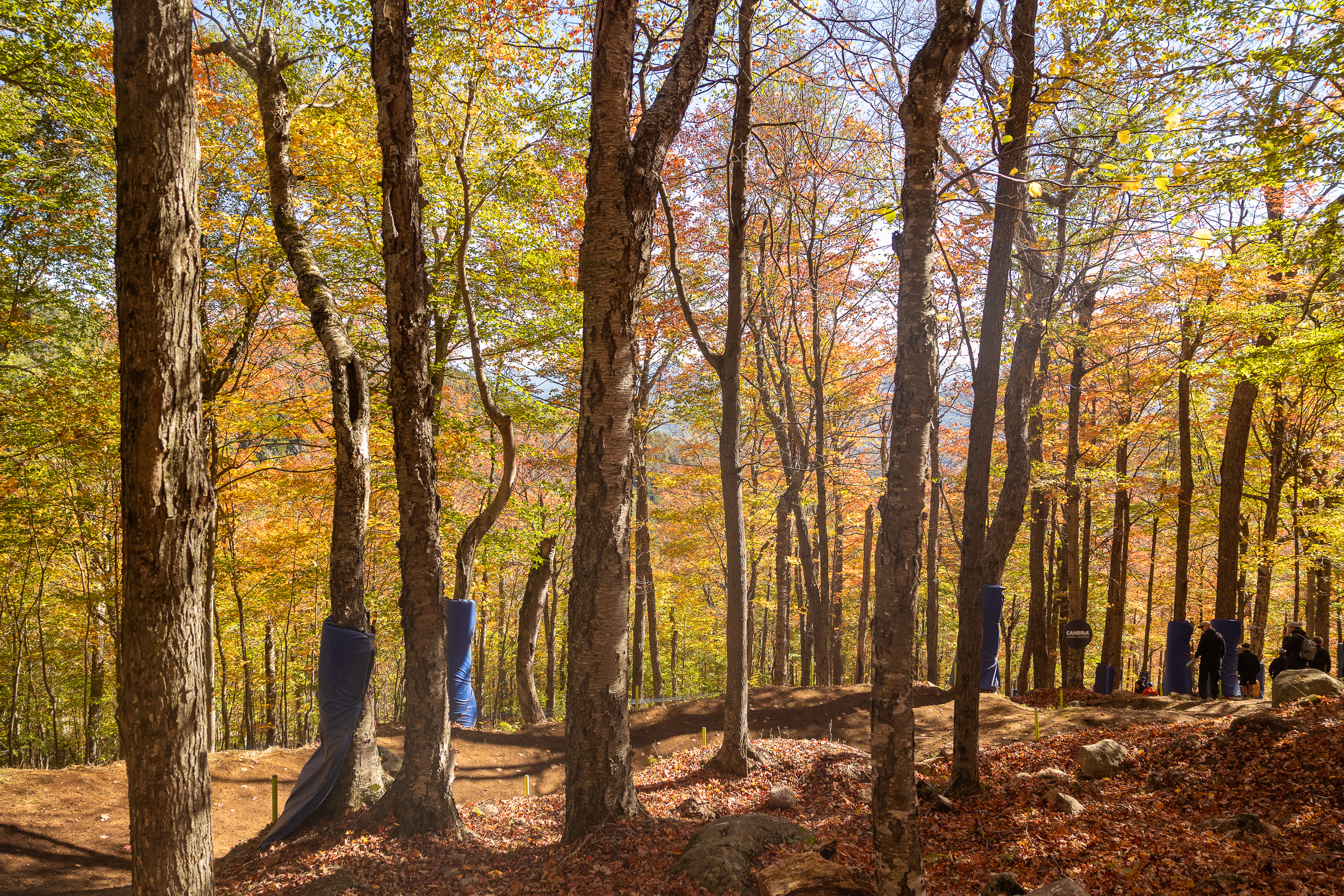 2025 DHI.9 Lake Placid