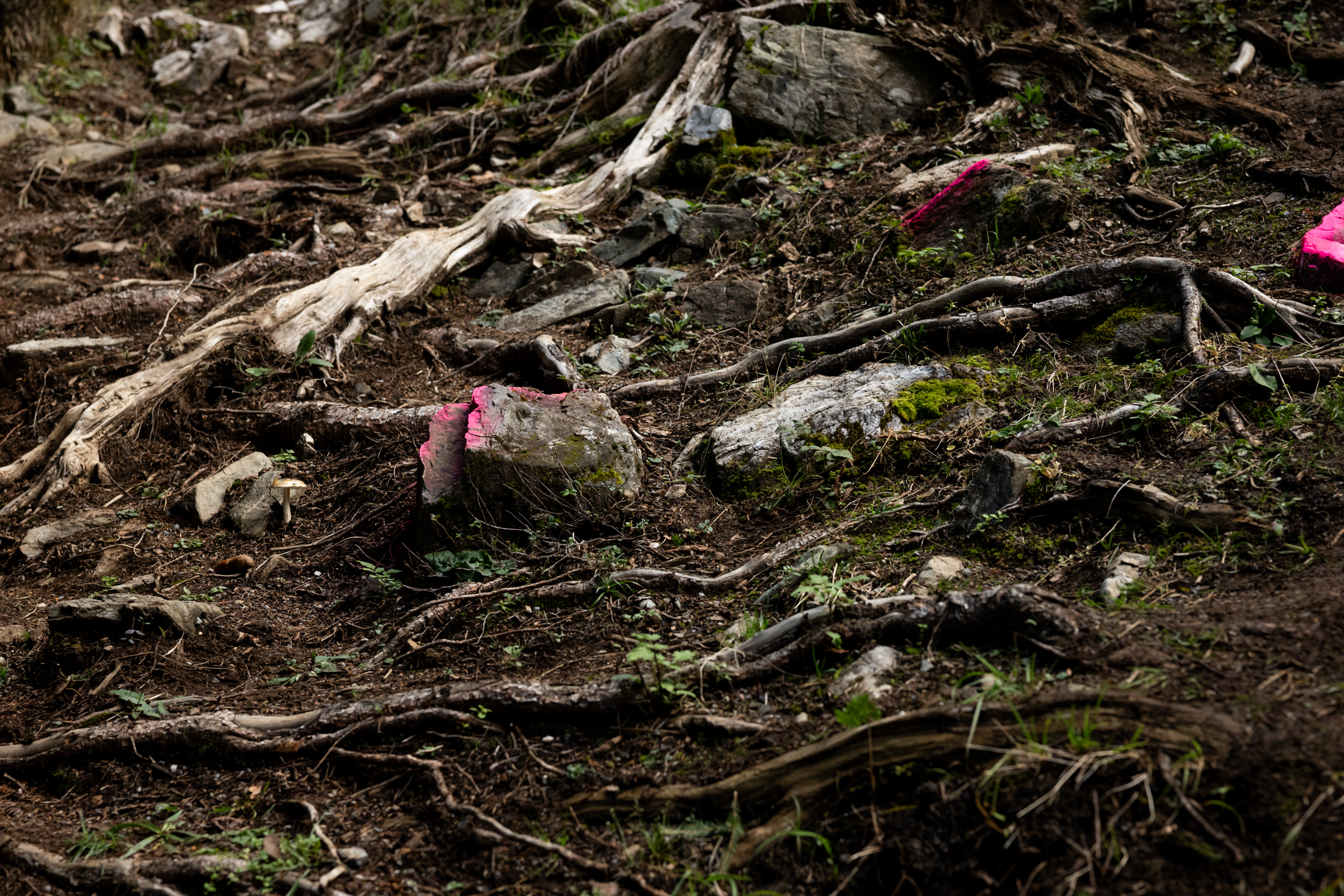 2025 DHI.8 Lenzerheide - Track walk