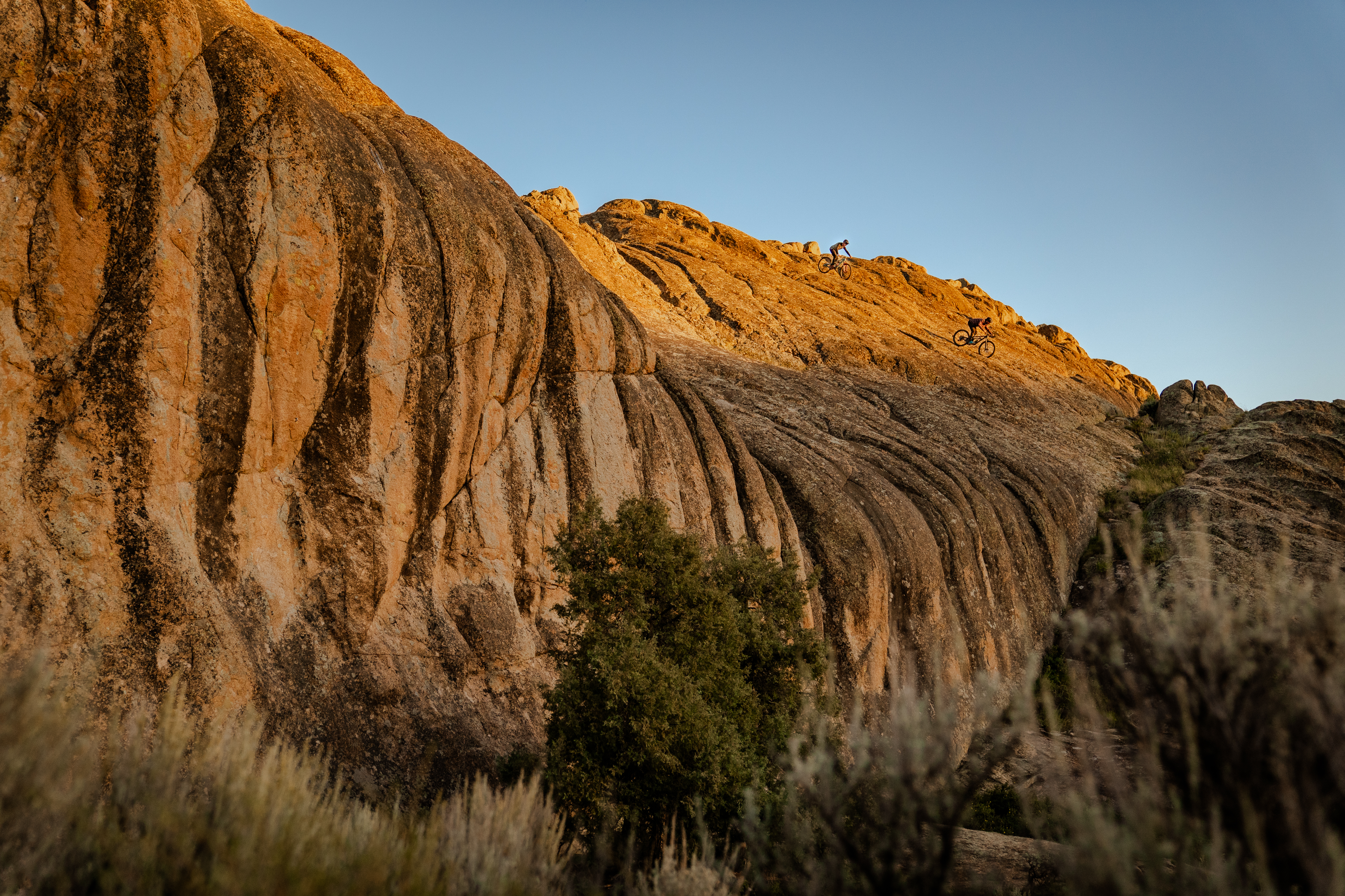 Video - Ride Forever