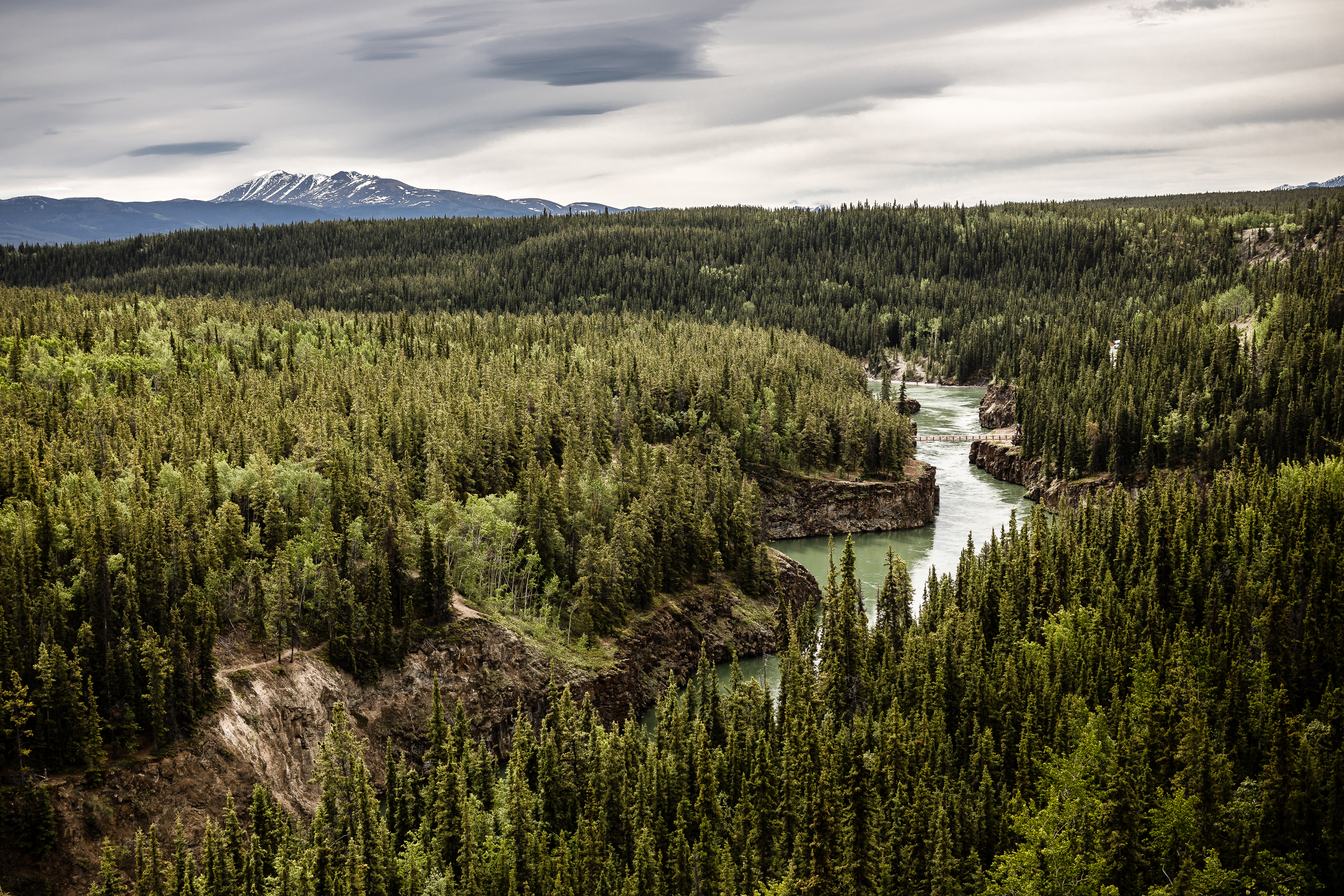 International Yeti Gathering Yukon