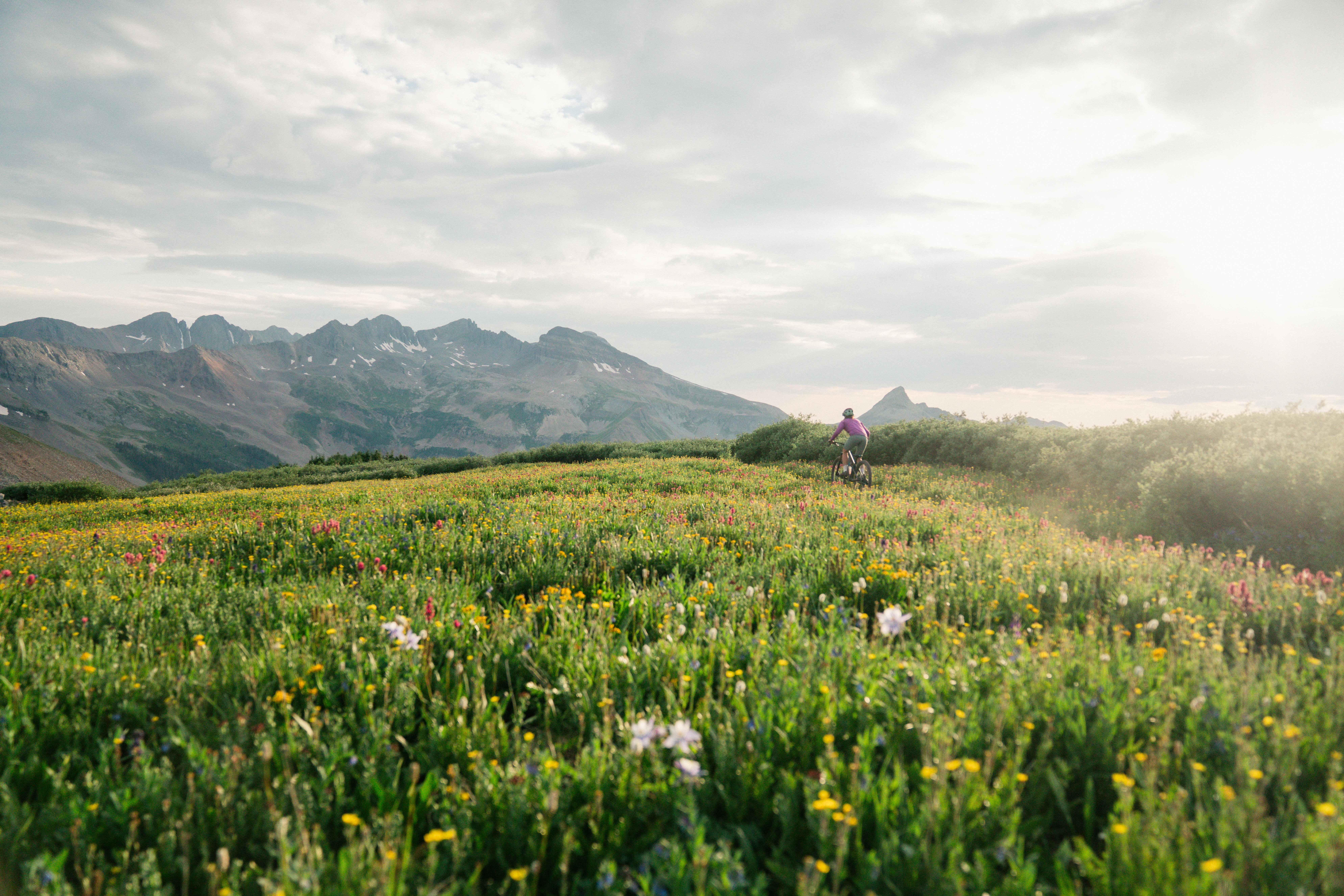 Nicole Baker Ambassador Highlight