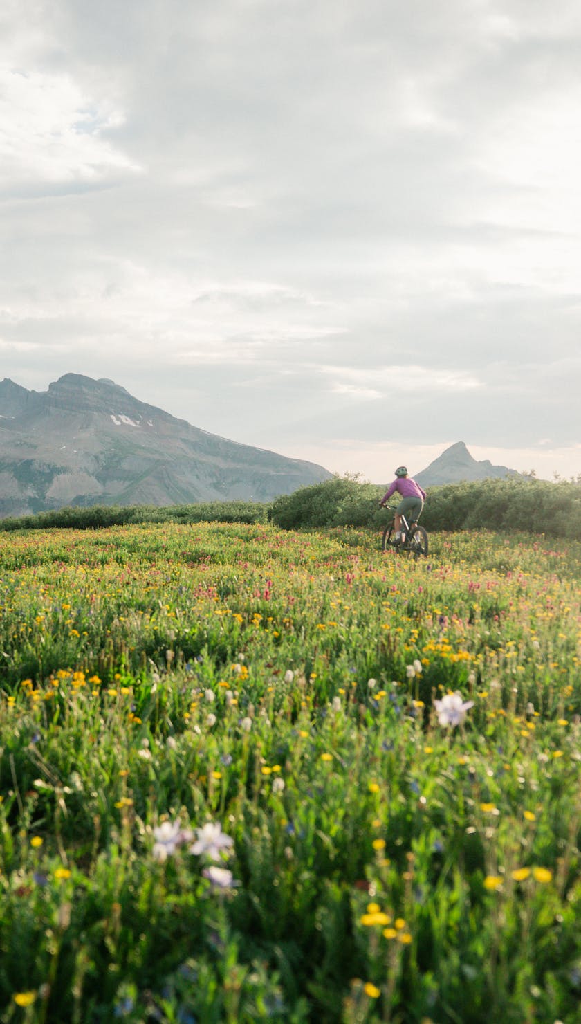 Nicole Baker Ambassador Highlight